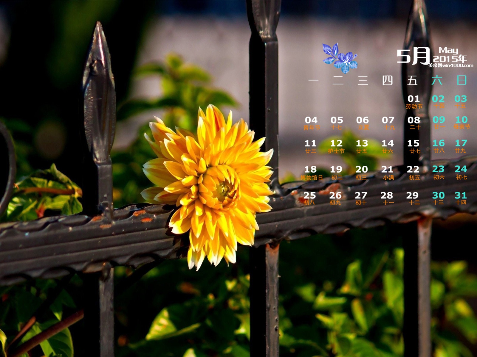 2015年5月 月曆壁紙(二) #3 - 1600x1200