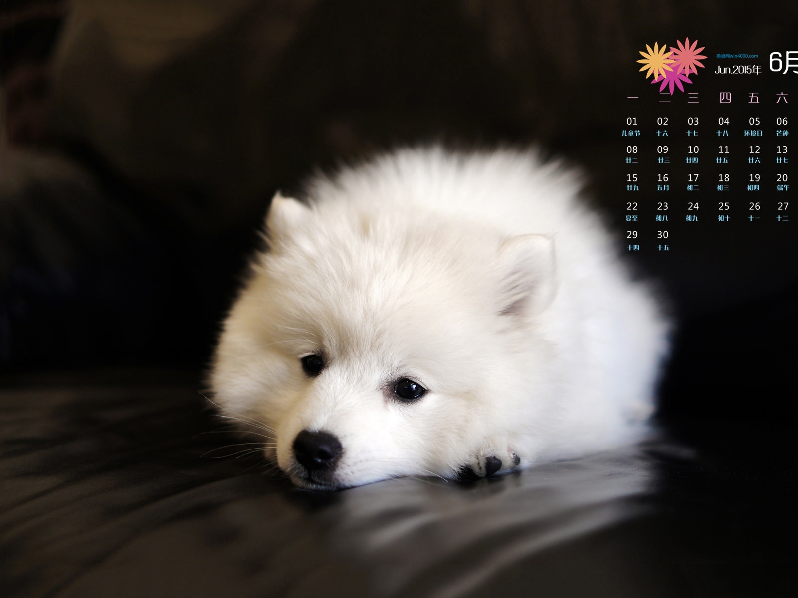 Juni 2015 Kalender Wallpaper (1) #9 - 1600x1200