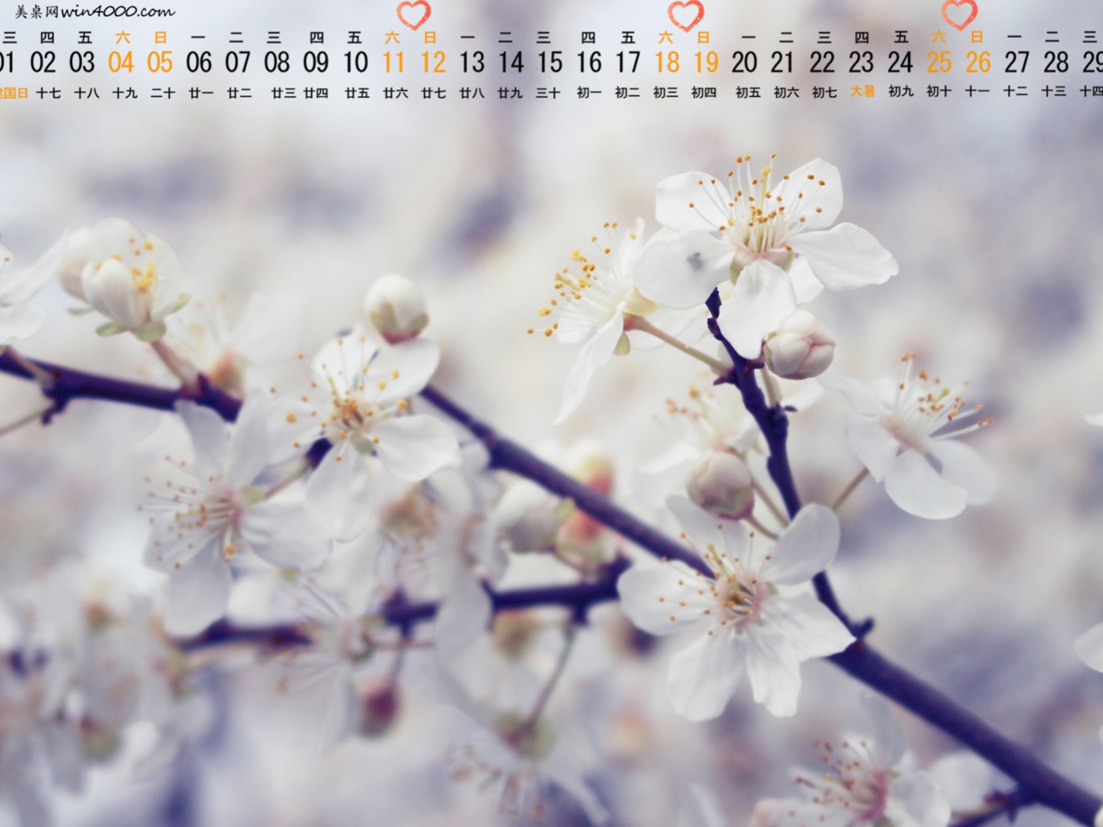 2015年7月 月曆壁紙(一) #10 - 1600x1200