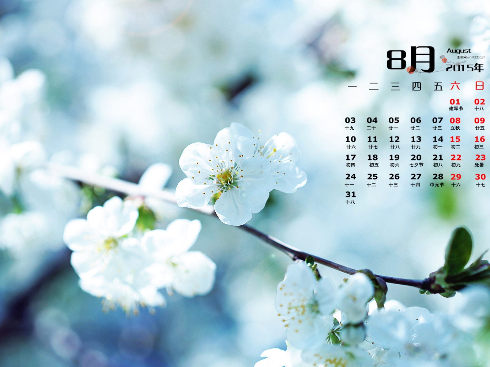 August 2015 calendar wallpaper (1) #2 - 1600x1200