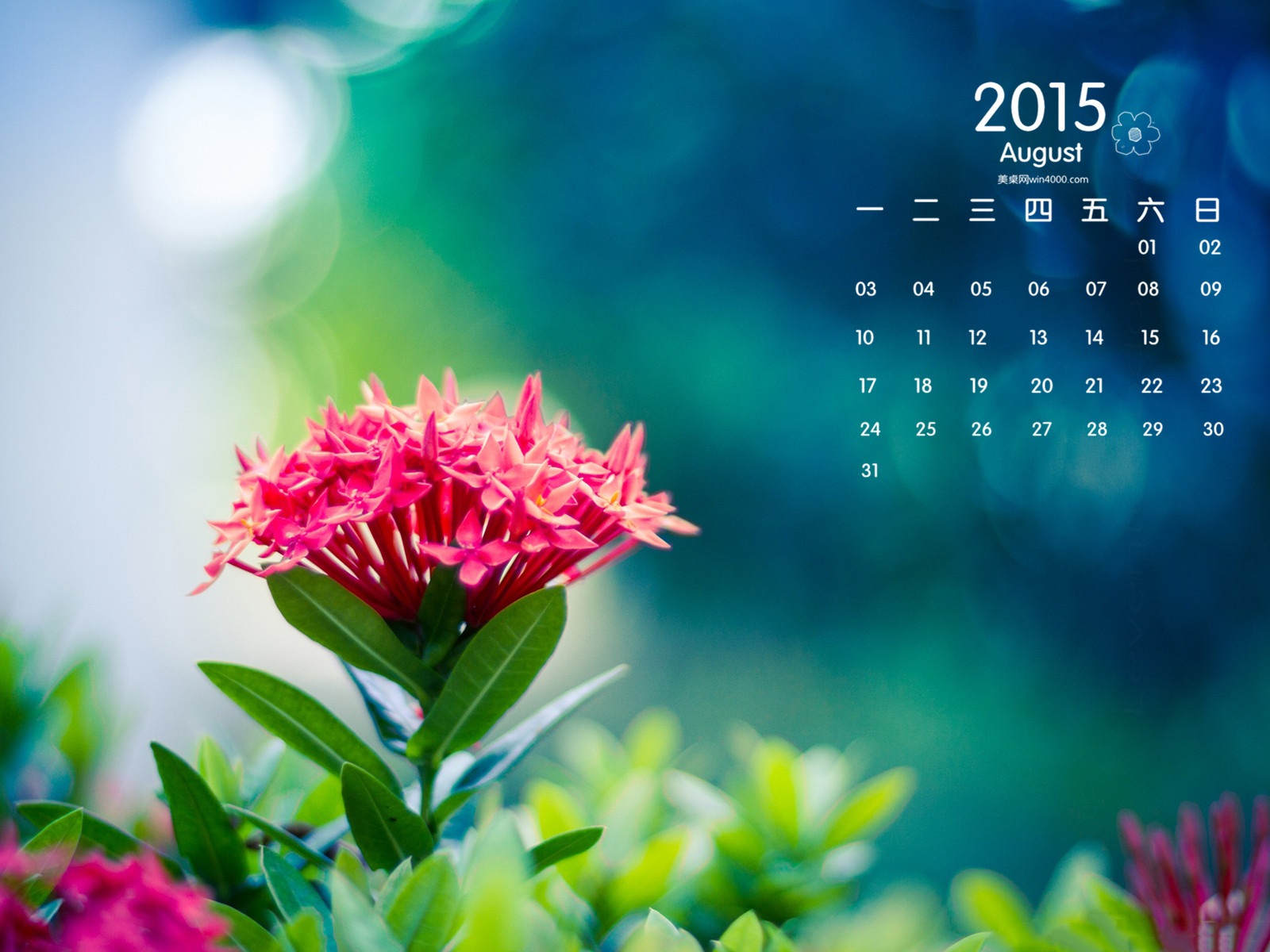 2015年8月 月曆壁紙(一) #12 - 1600x1200