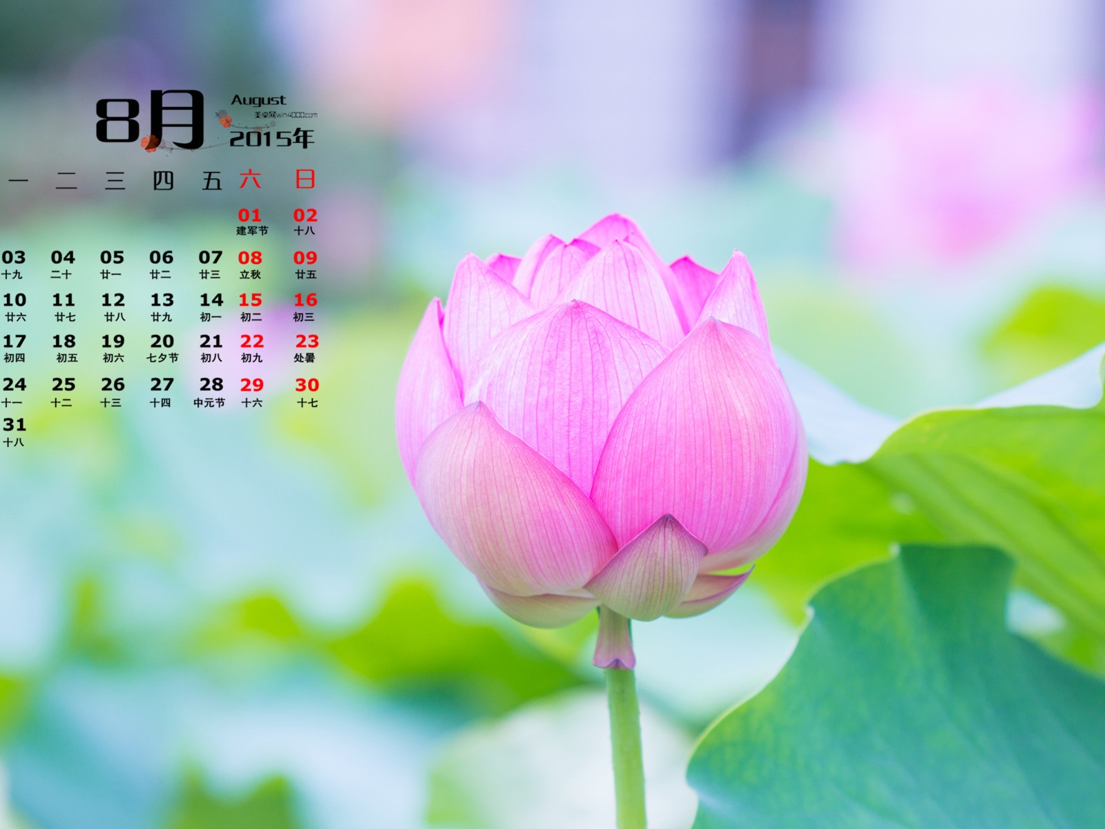 2015年8月 月曆壁紙(一) #15 - 1600x1200