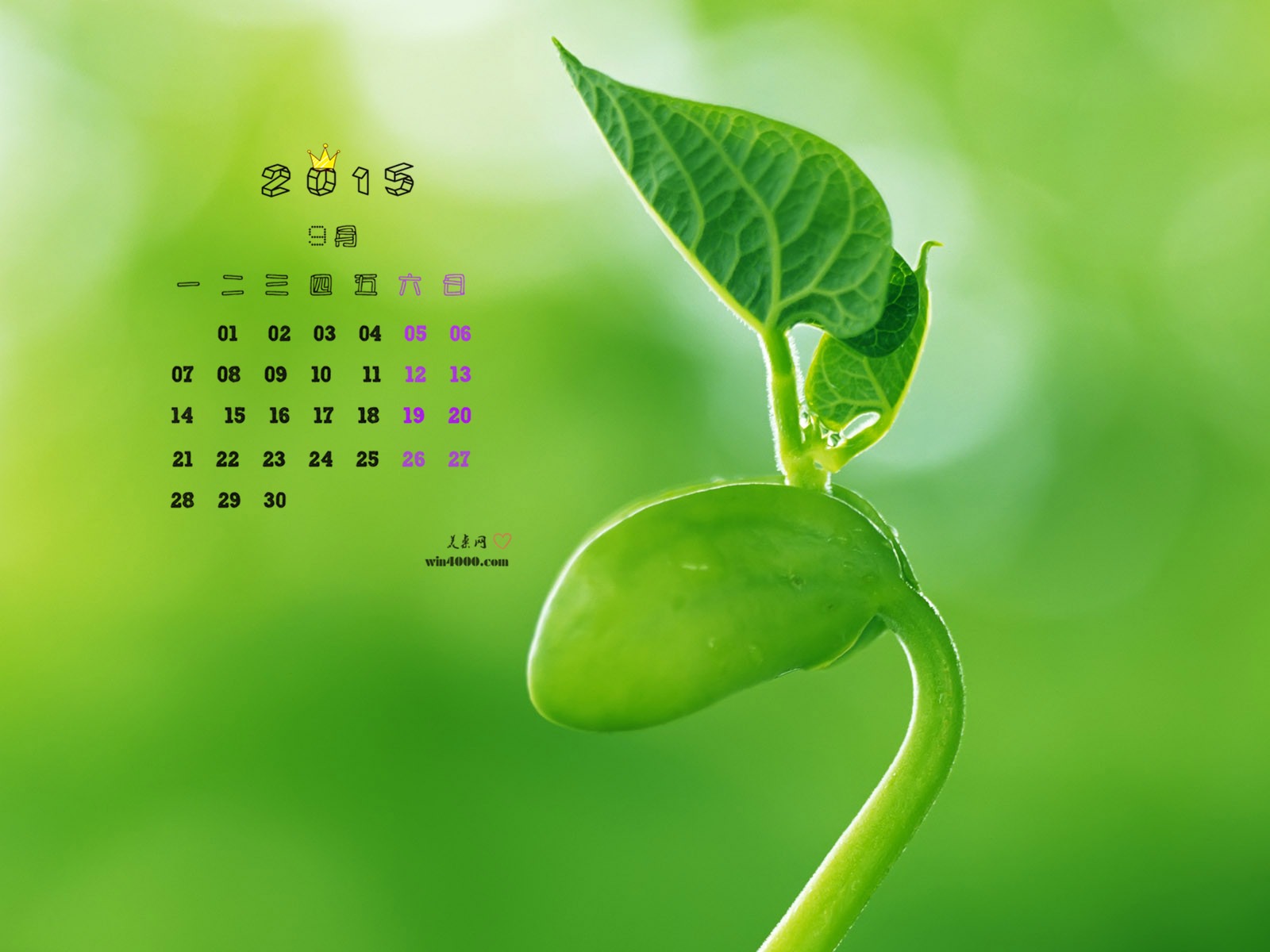 2015年9月 月曆壁紙(一) #5 - 1600x1200