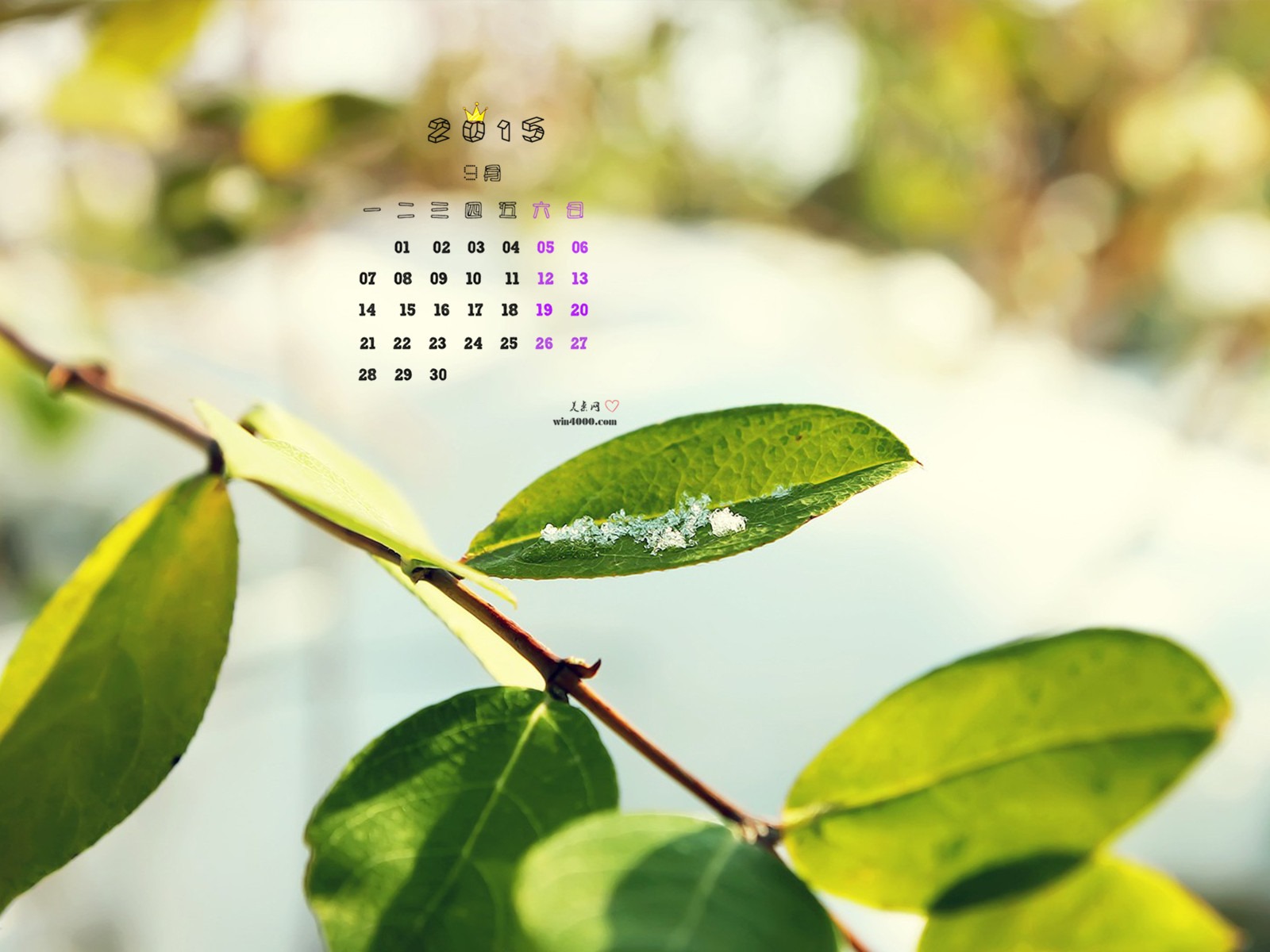 2015年9月 月曆壁紙(一) #9 - 1600x1200