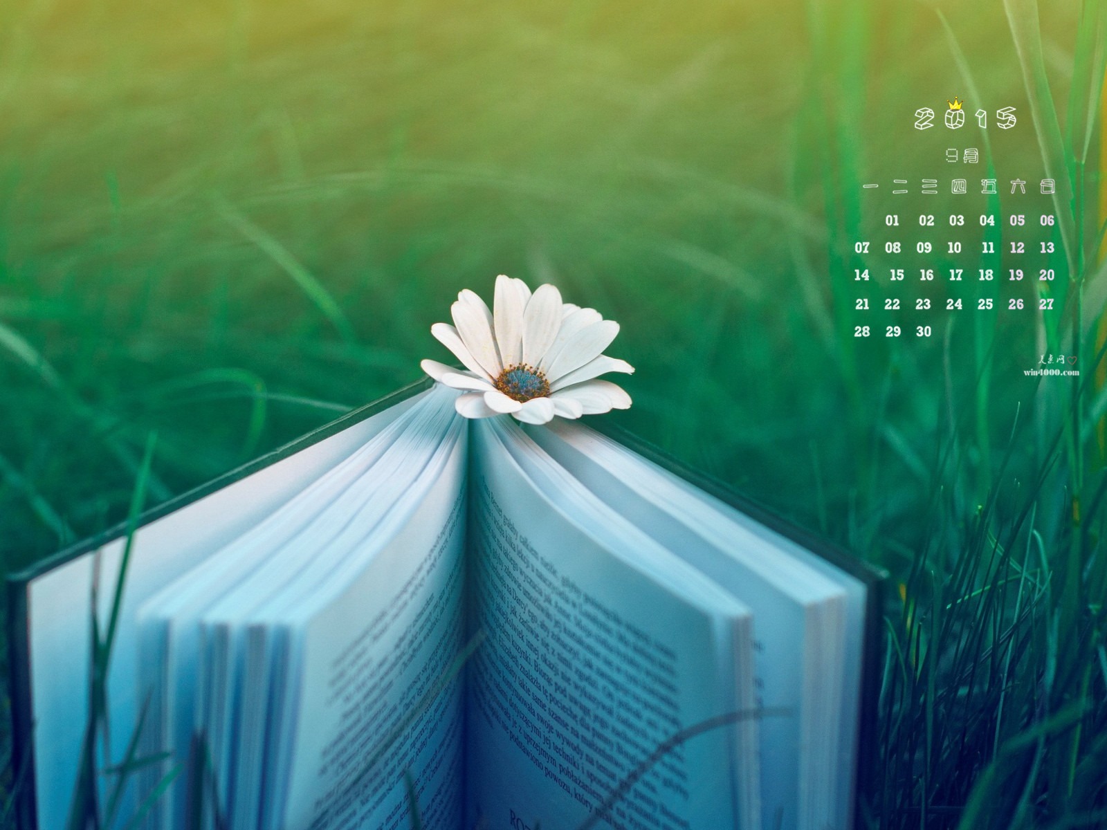 2015年9月 月曆壁紙(二) #4 - 1600x1200