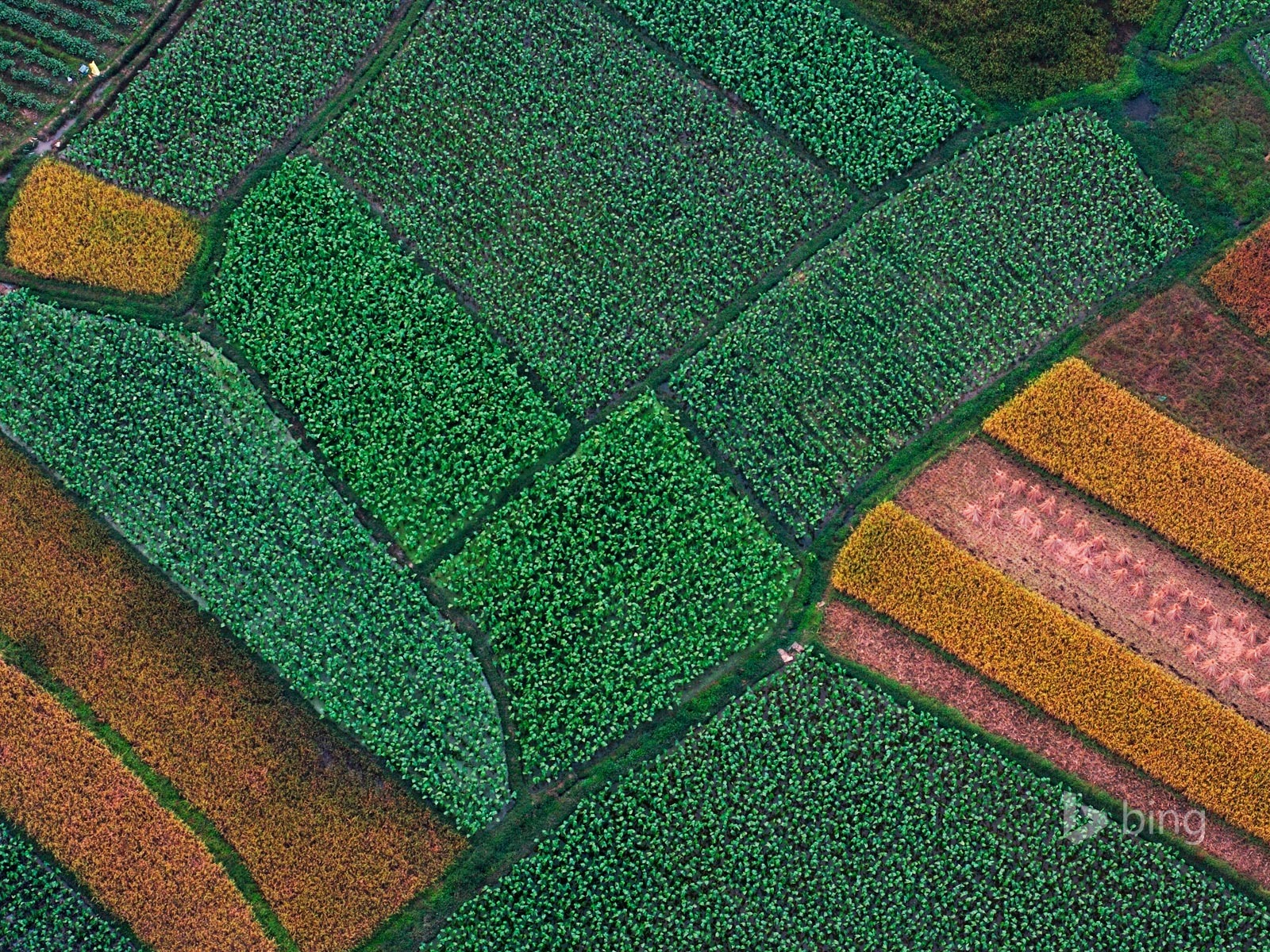 Abril de 2015 fondos de pantalla HD Bing #16 - 1600x1200