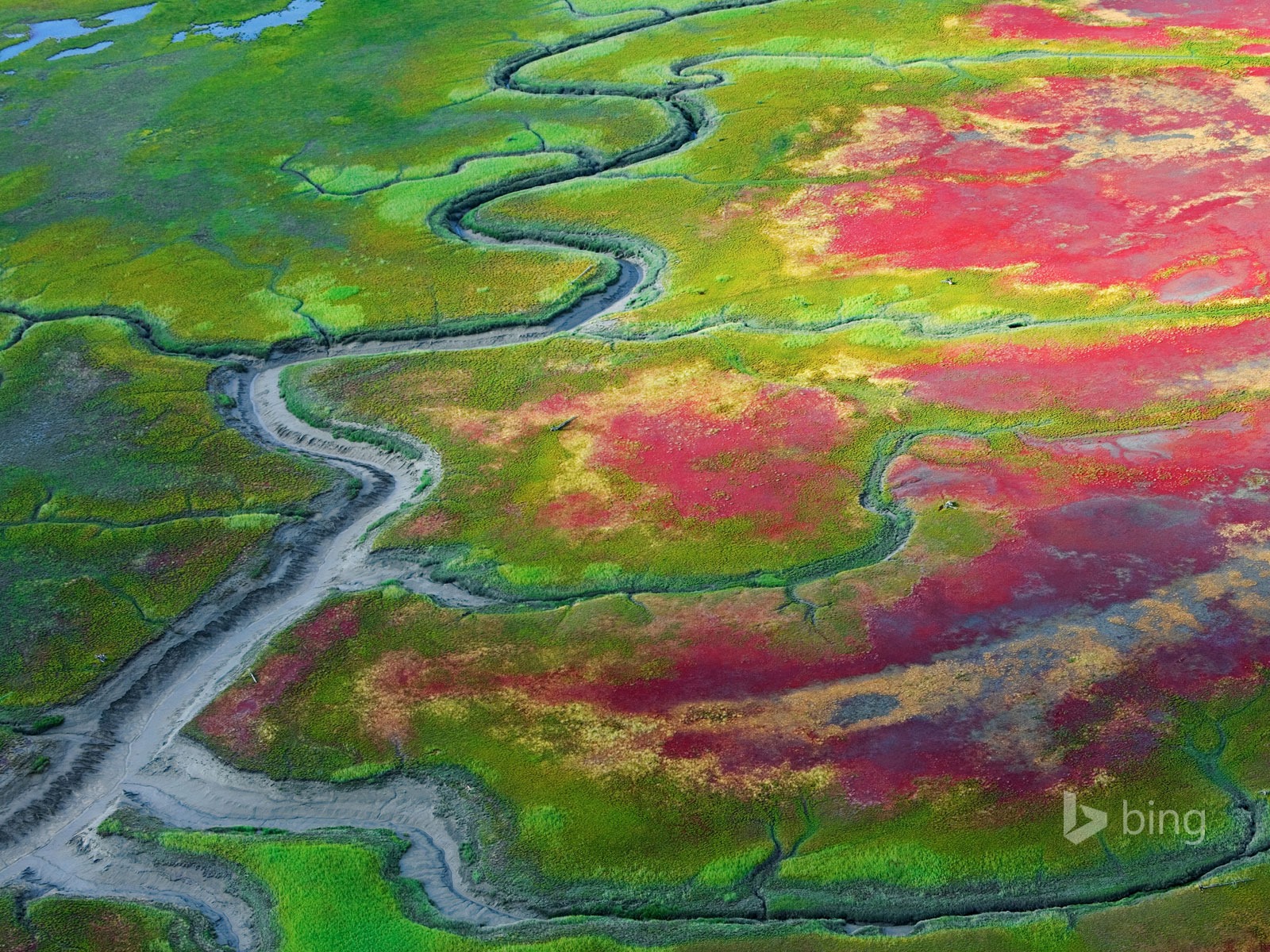 2015年5月 Bing必應高清壁紙 #24 - 1600x1200