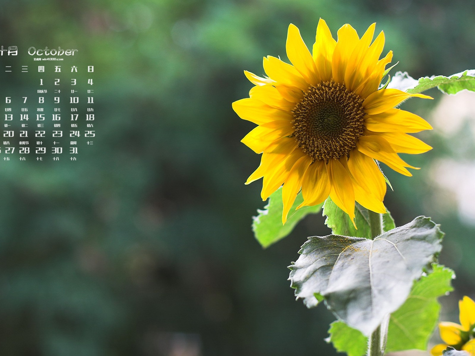 2015年10月 月曆壁紙(一) #2 - 1600x1200