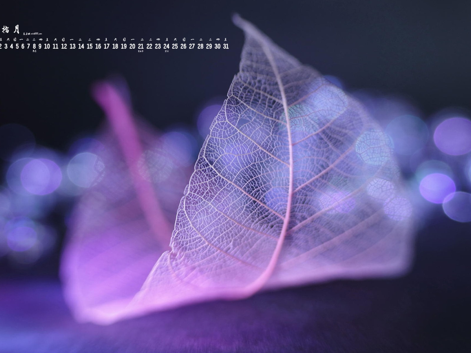 2015年10月 月曆壁紙(一) #17 - 1600x1200