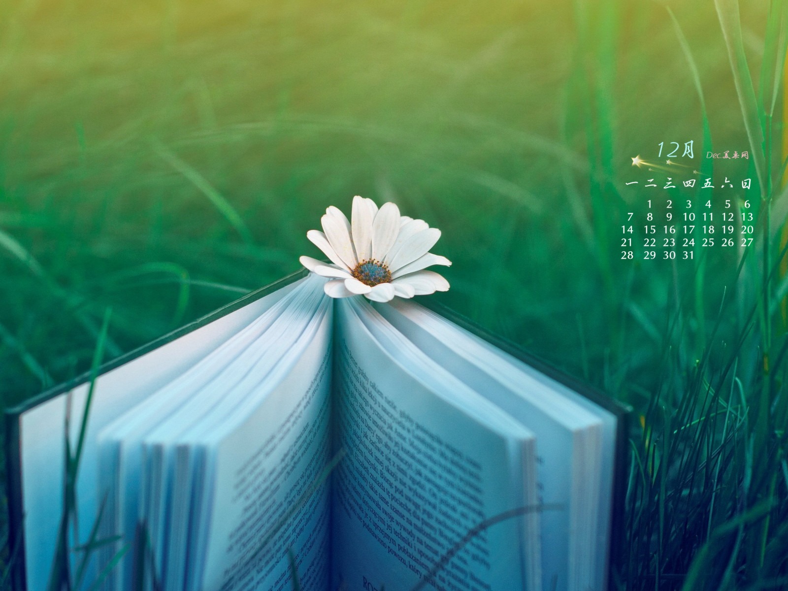 December 2015 Calendar wallpaper (1) #1 - 1600x1200