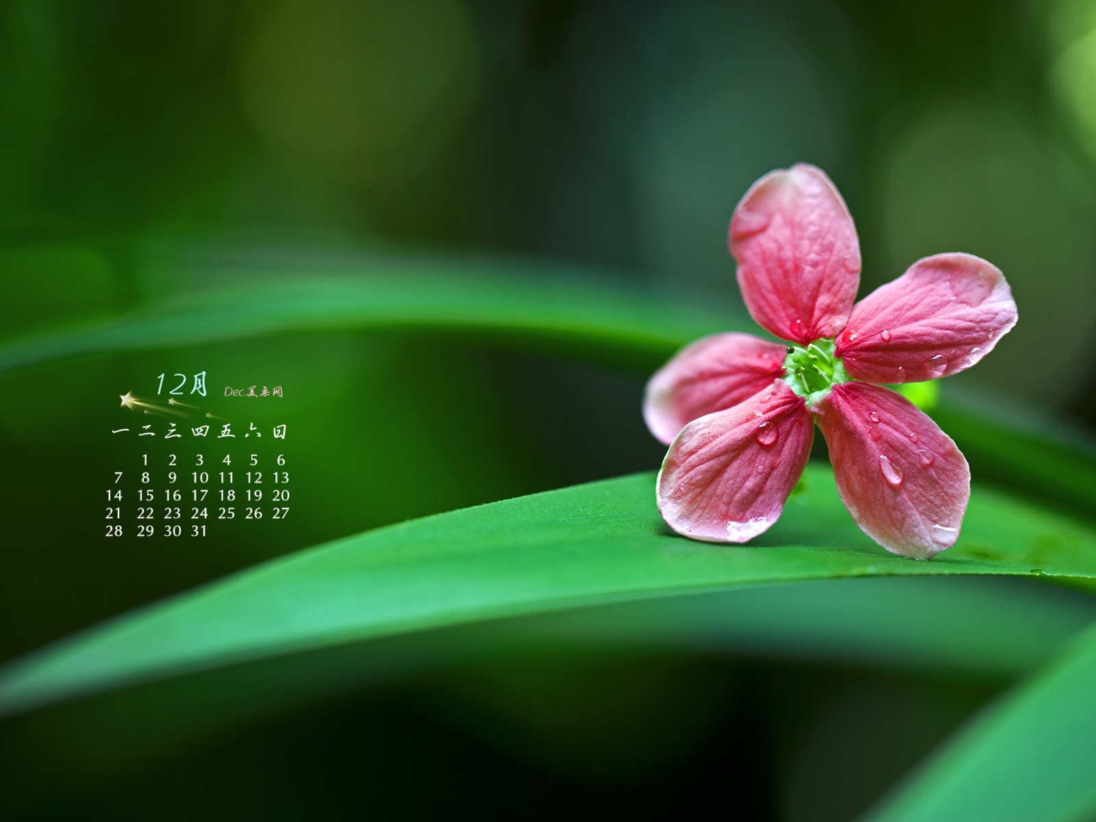 2015年12月 月曆壁紙(一) #3 - 1600x1200