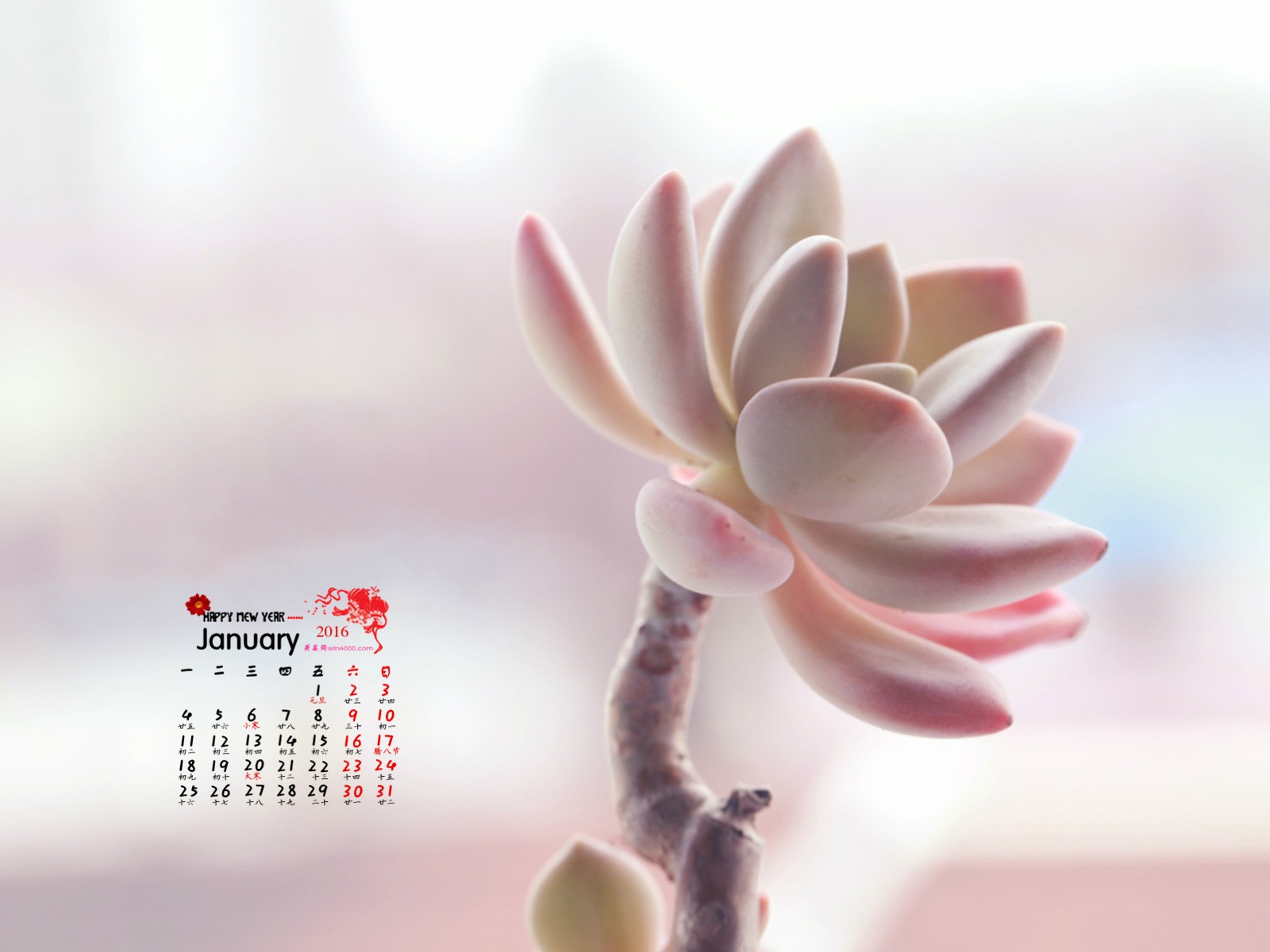 2016年1月 月曆壁紙(一) #4 - 1600x1200