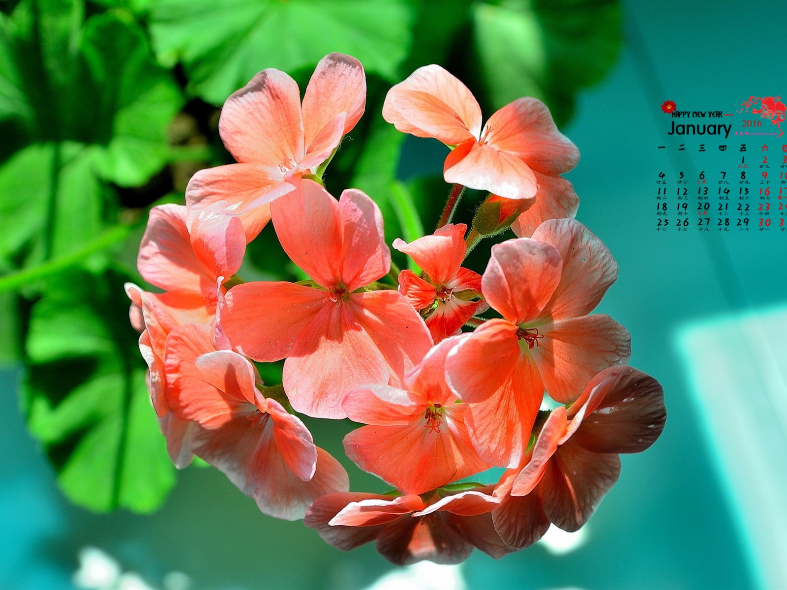 Januar 2016 Kalender Wallpaper (1) #16 - 1600x1200