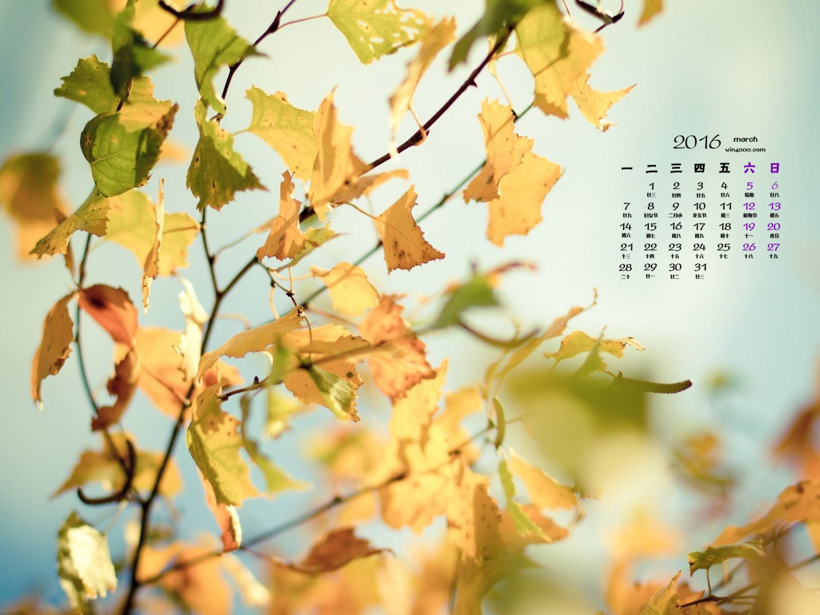 2016年3月 月曆壁紙(一) #6 - 1600x1200