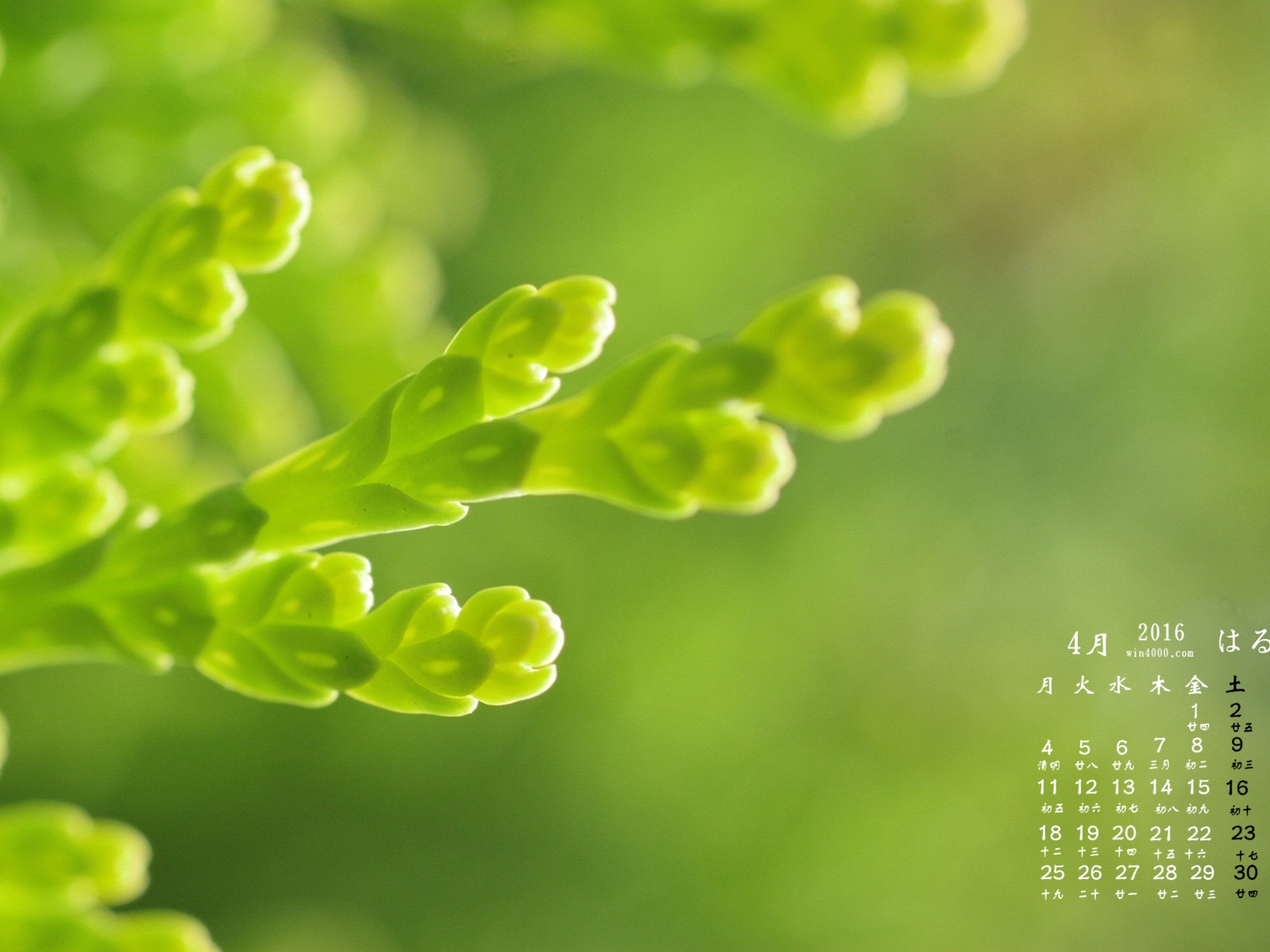 2016年4月 月曆壁紙(二) #2 - 1600x1200