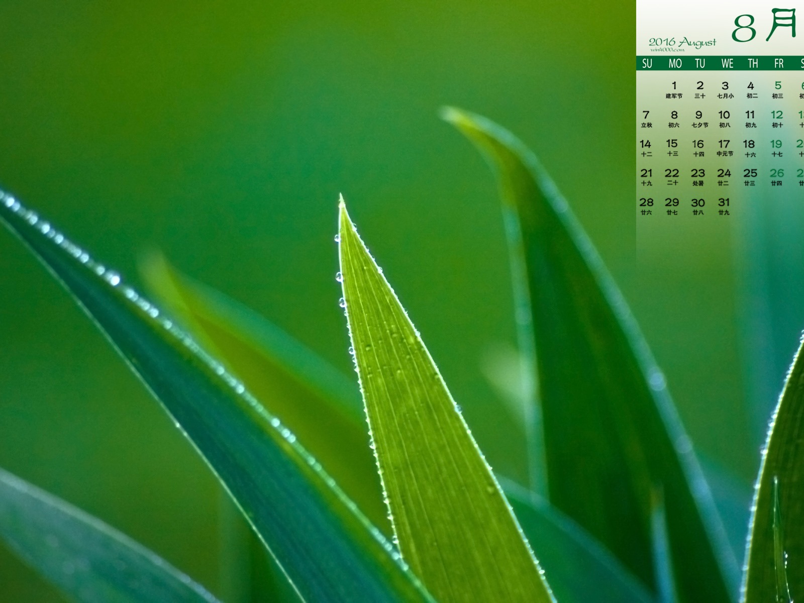 De agosto de el año 2016 fondo de pantalla de calendario (1) #12 - 1600x1200