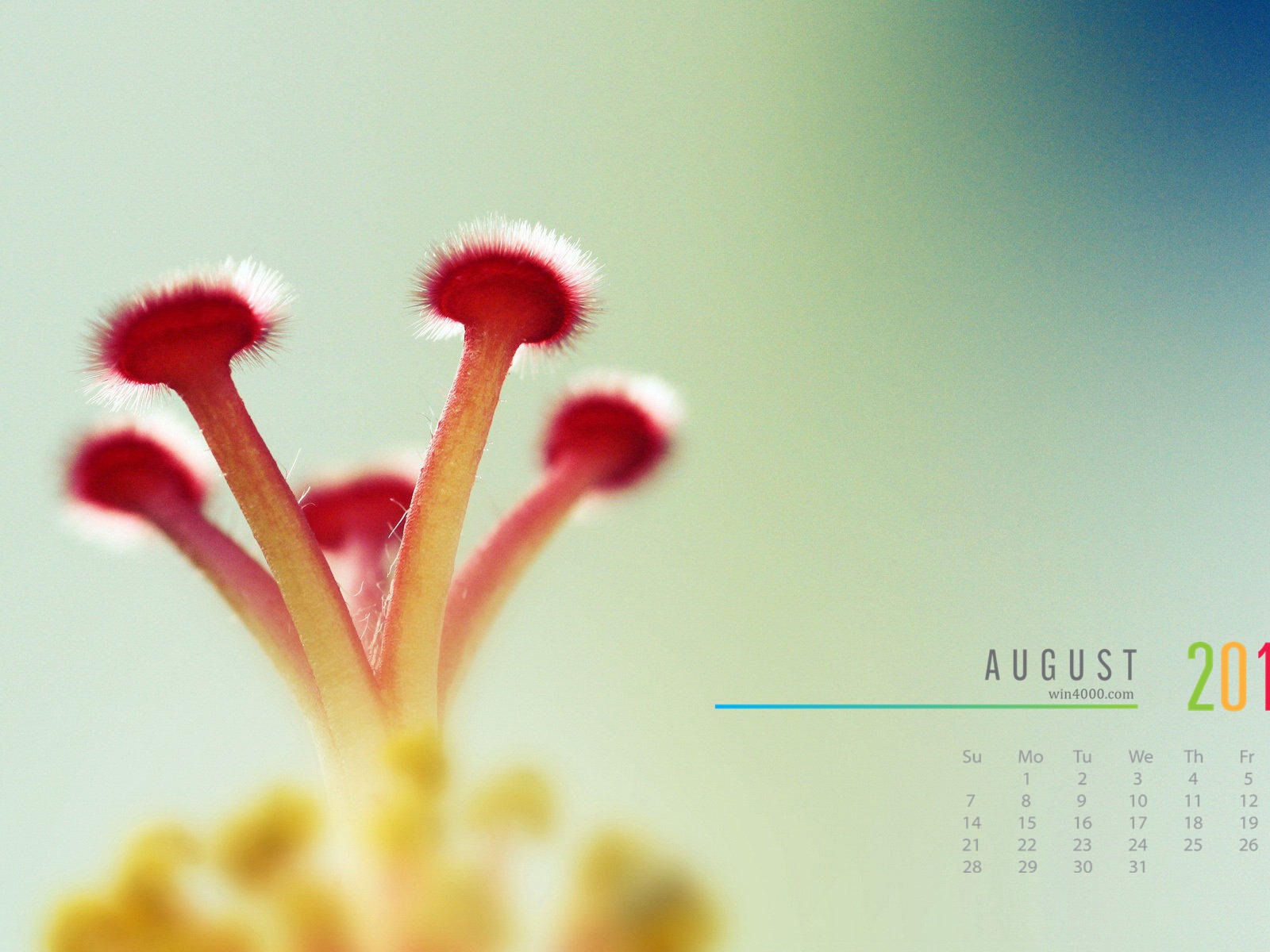 August 2016 Kalender Wallpaper (2) #5 - 1600x1200