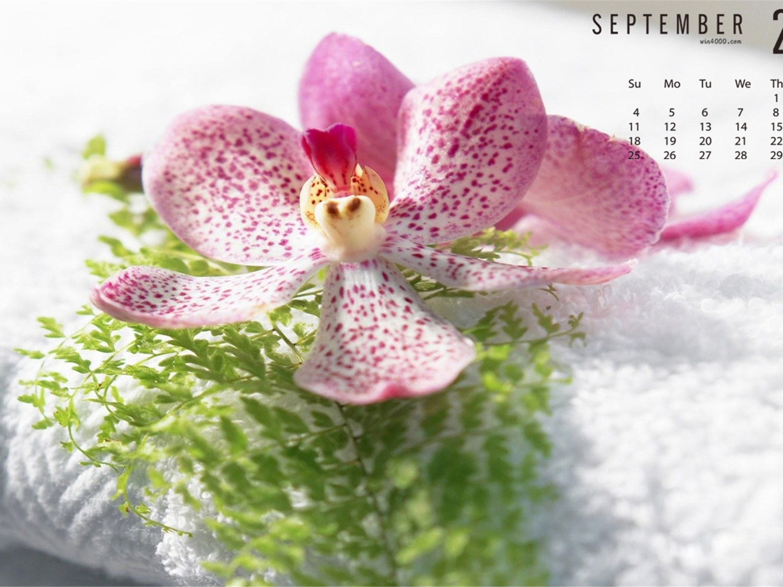 September 2016 Kalender Wallpaper (1) #11 - 1600x1200