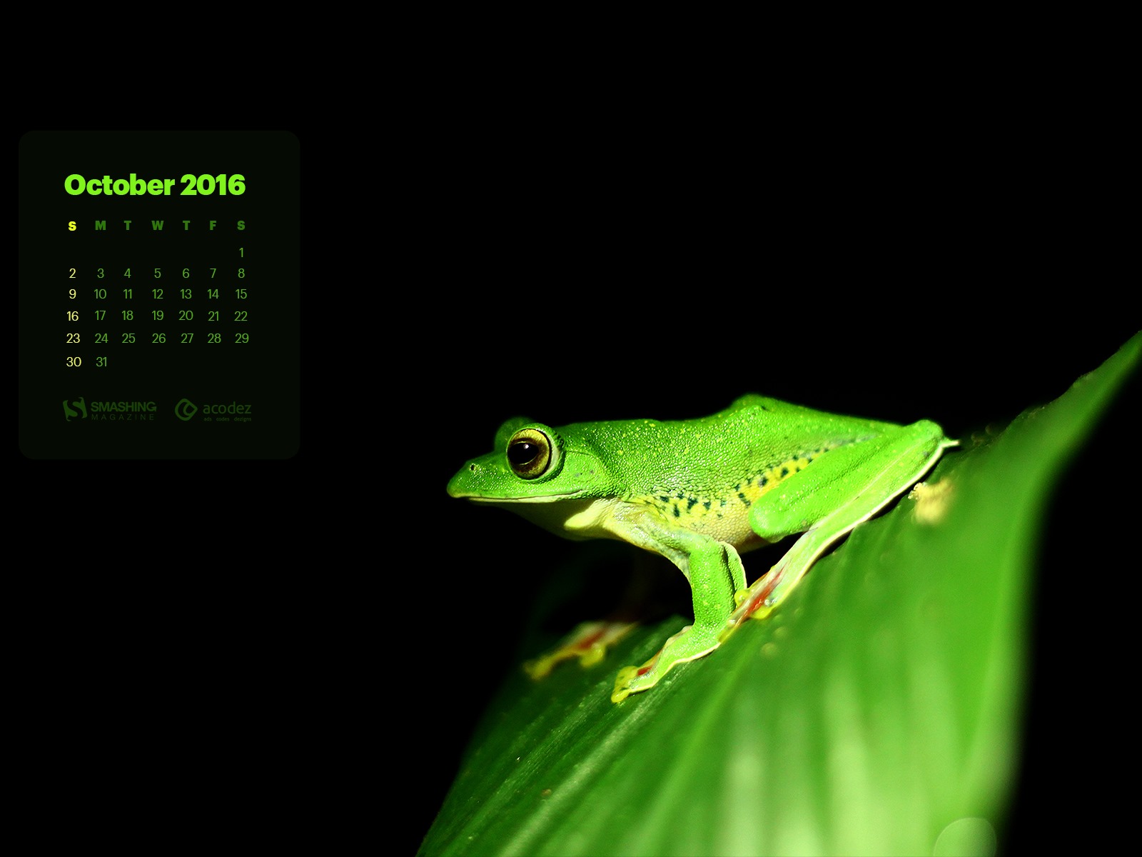 October 2016 calendar wallpaper (2) #12 - 1600x1200