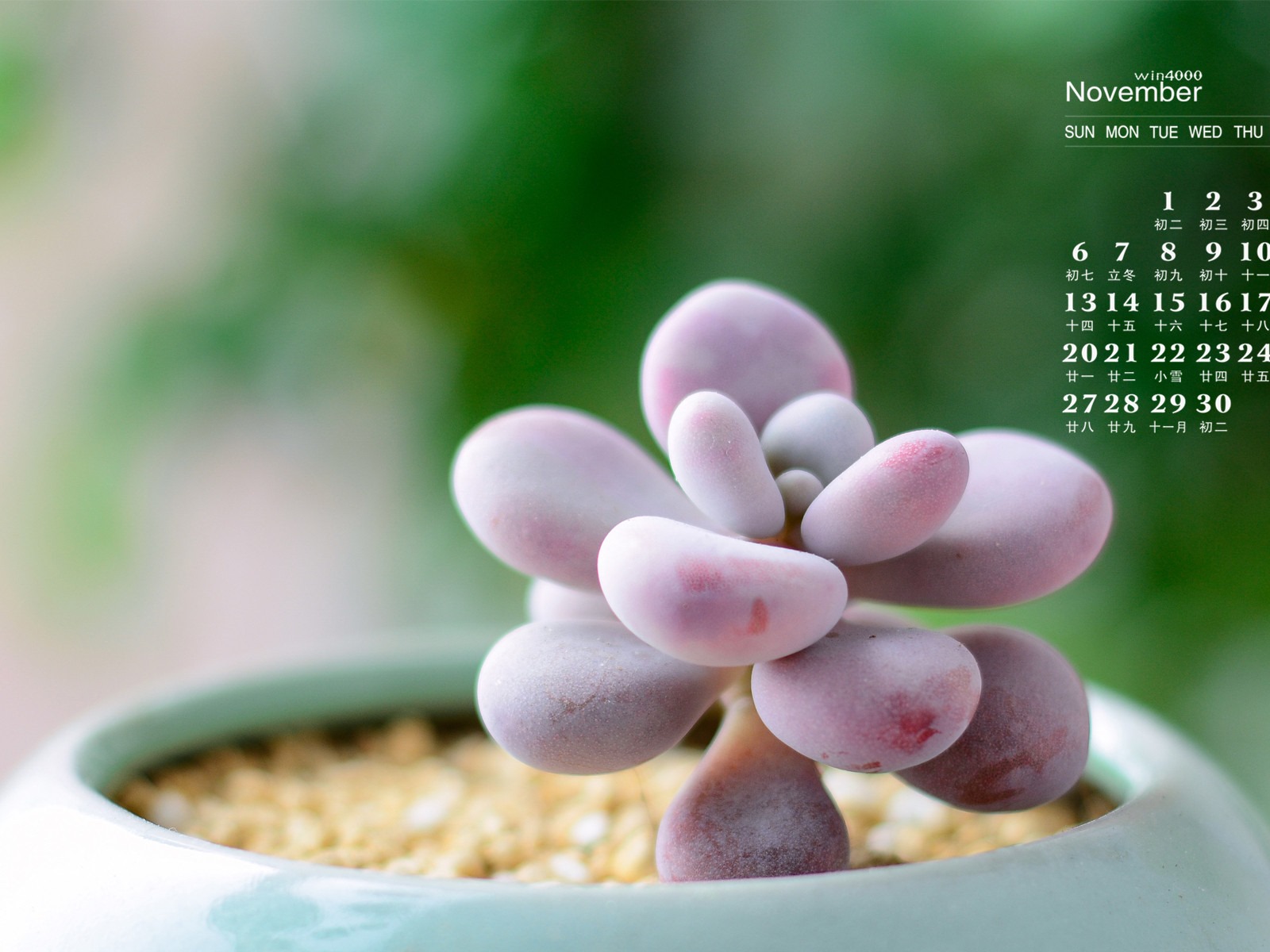 November 2016 calendar wallpaper (1) #3 - 1600x1200