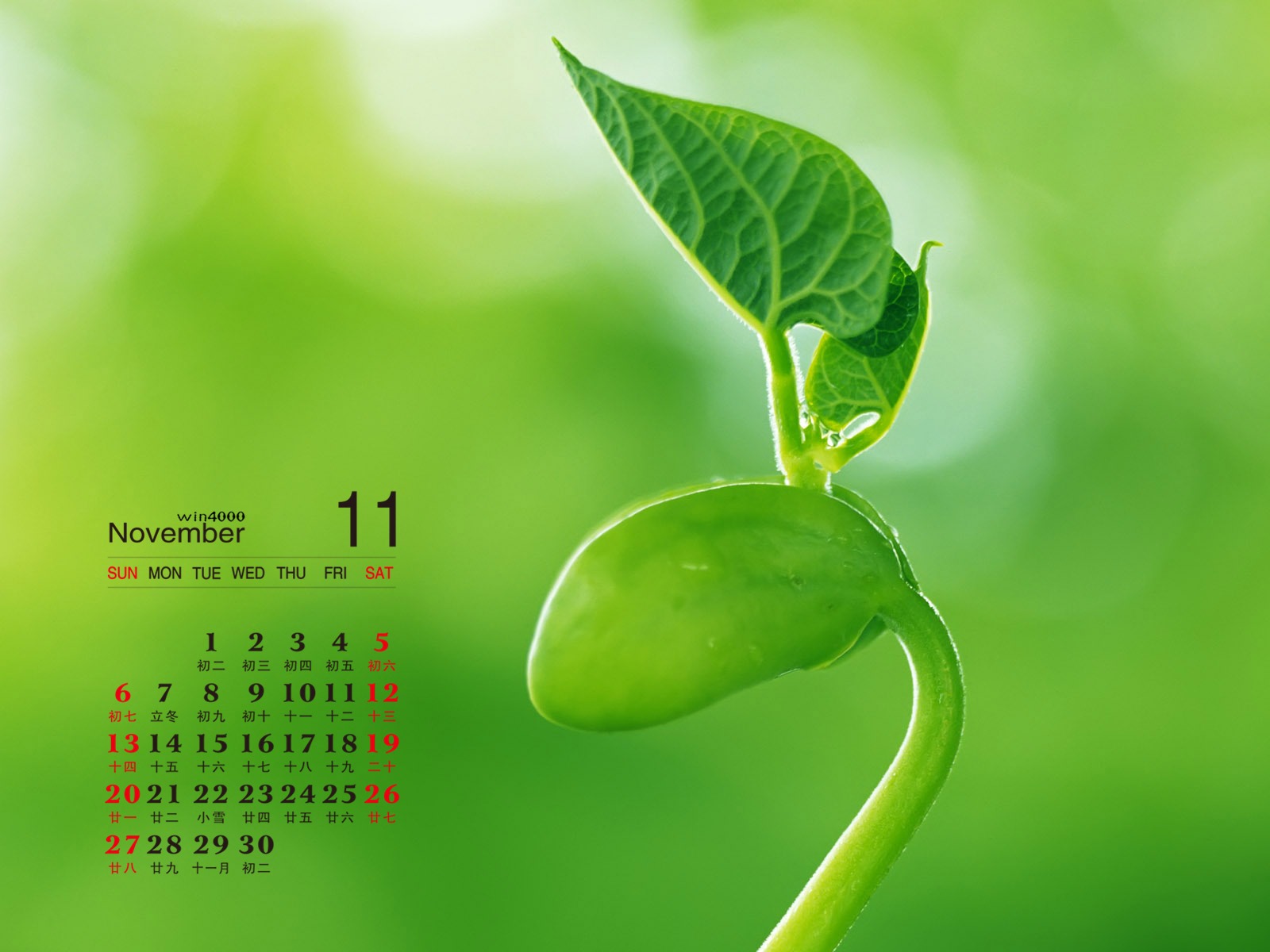 2016年11月 月曆壁紙(二) #6 - 1600x1200