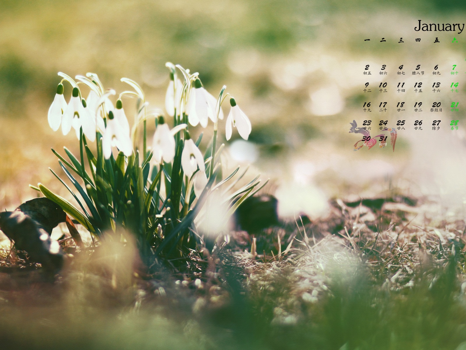 January 2017 calendar wallpaper (1) #14 - 1600x1200