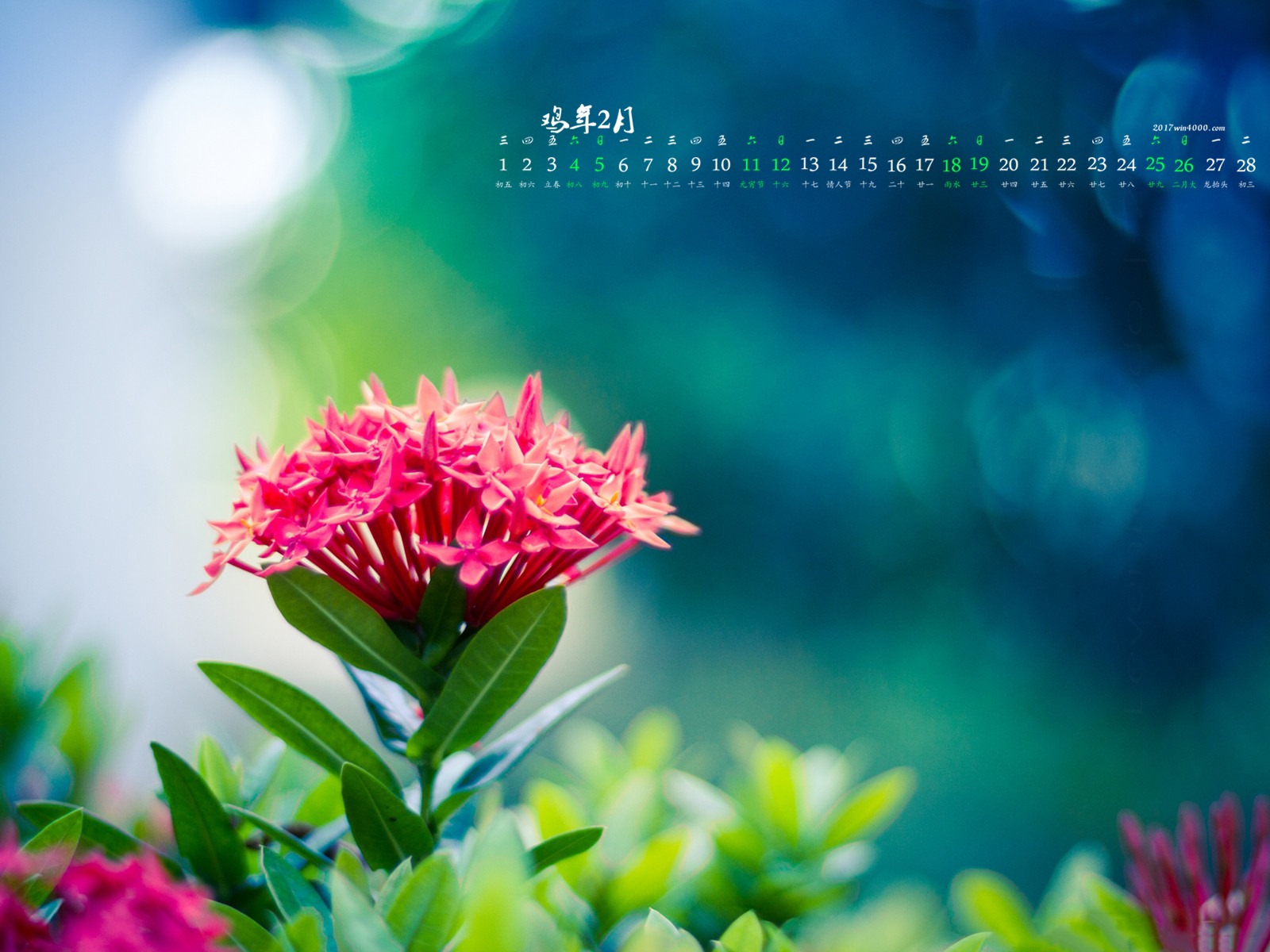 Fondo de escritorio de calendario de febrero de 2017 (1) #3 - 1600x1200