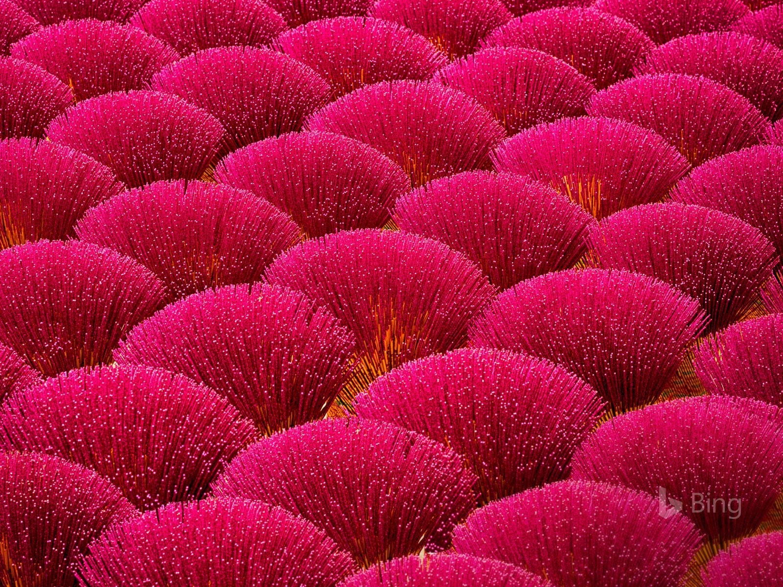 Mayo de 2017 Tema de Bing de fondo de pantalla de alta definición #16 - 1600x1200