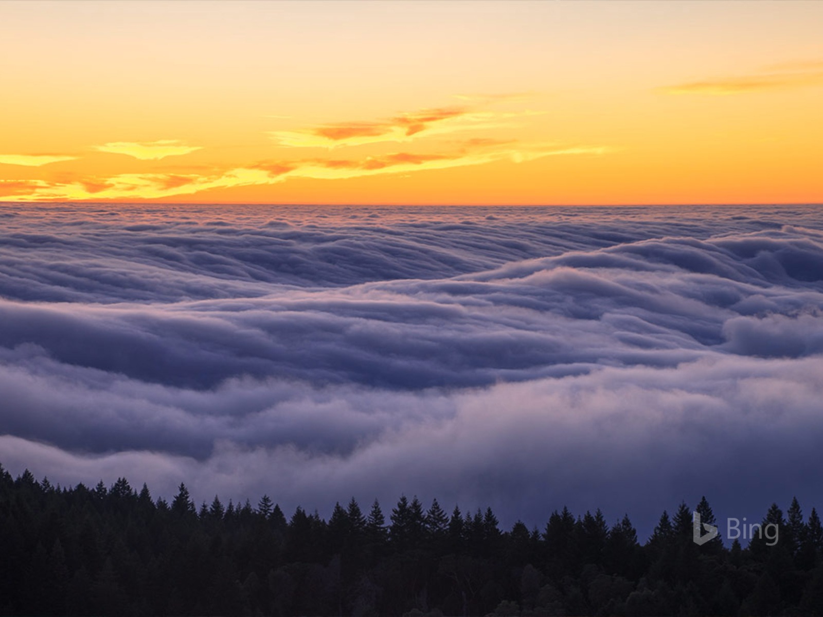 Květen 2017 Bing téma tapety s vysokým rozlišením #31 - 1600x1200