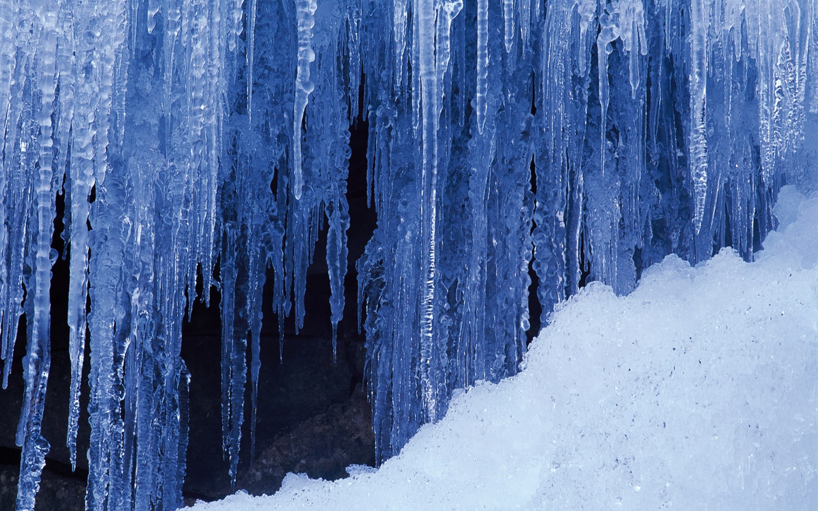 Snow forest wallpaper (1) #10 - 1680x1050