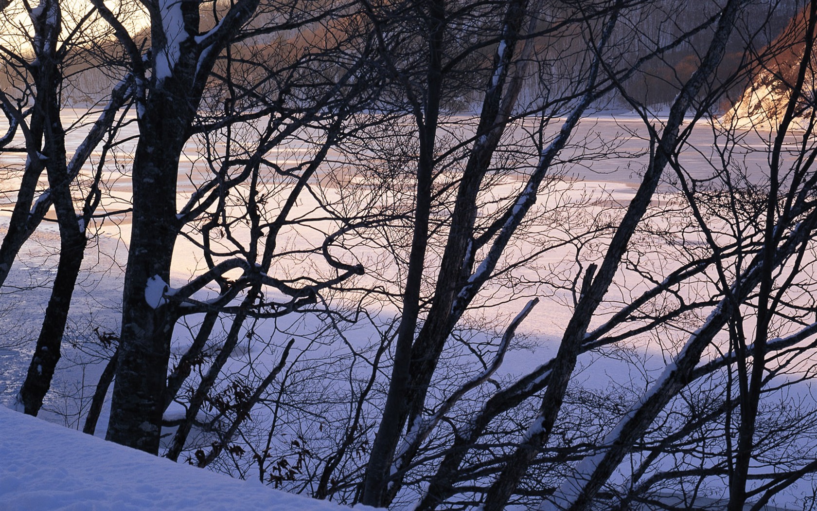forêt, la neige fond d'écran (2) #2 - 1680x1050