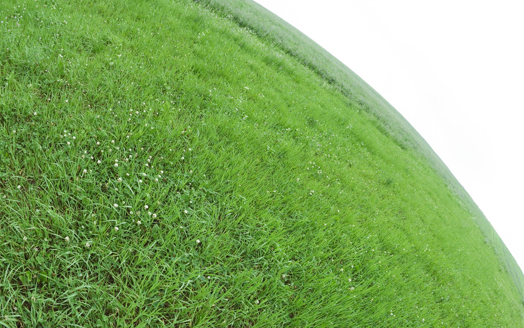 zelená tráva tapety (1) #12 - 1680x1050