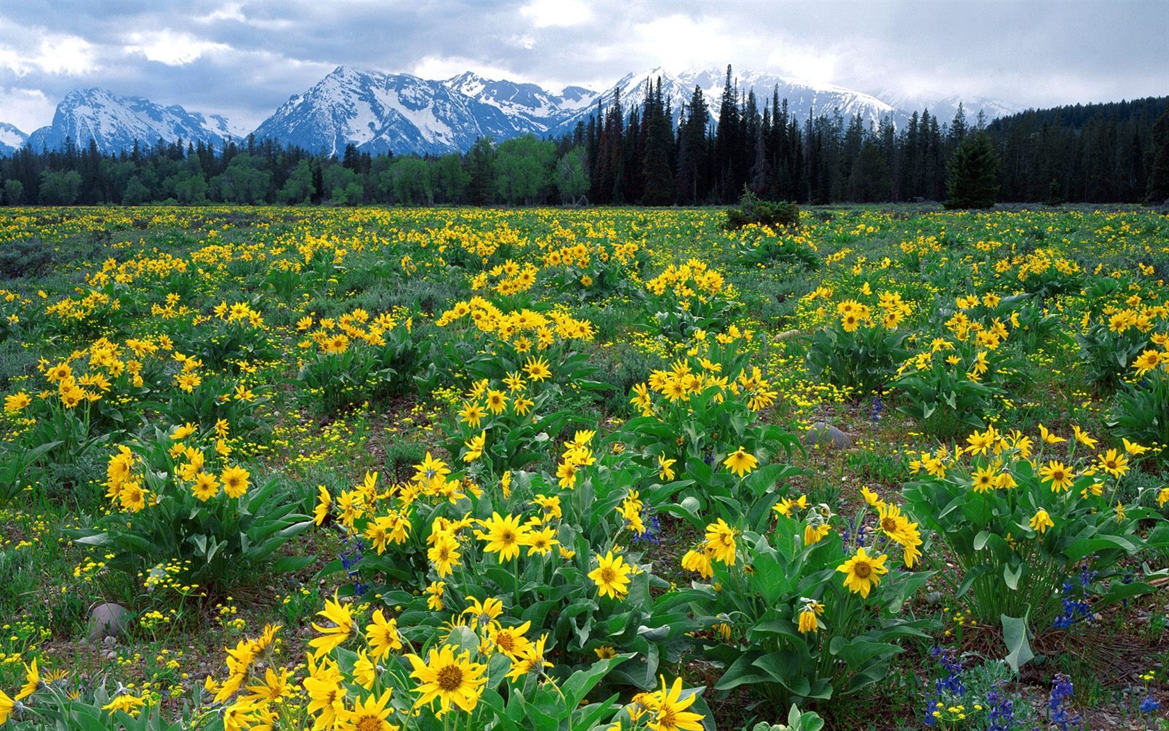 Natural Scenery Highlights (1) #5 - 1680x1050