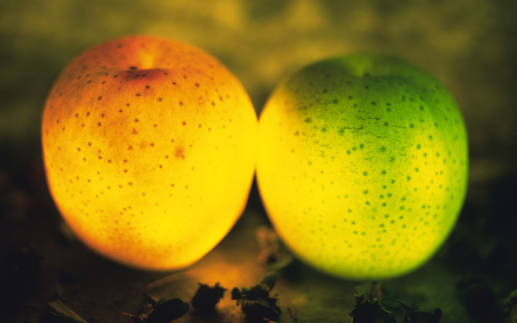 fruit light for kitchen