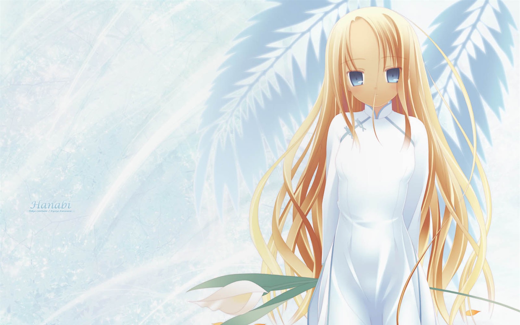 Krásný Anime Tapeta #19 - 1680x1050