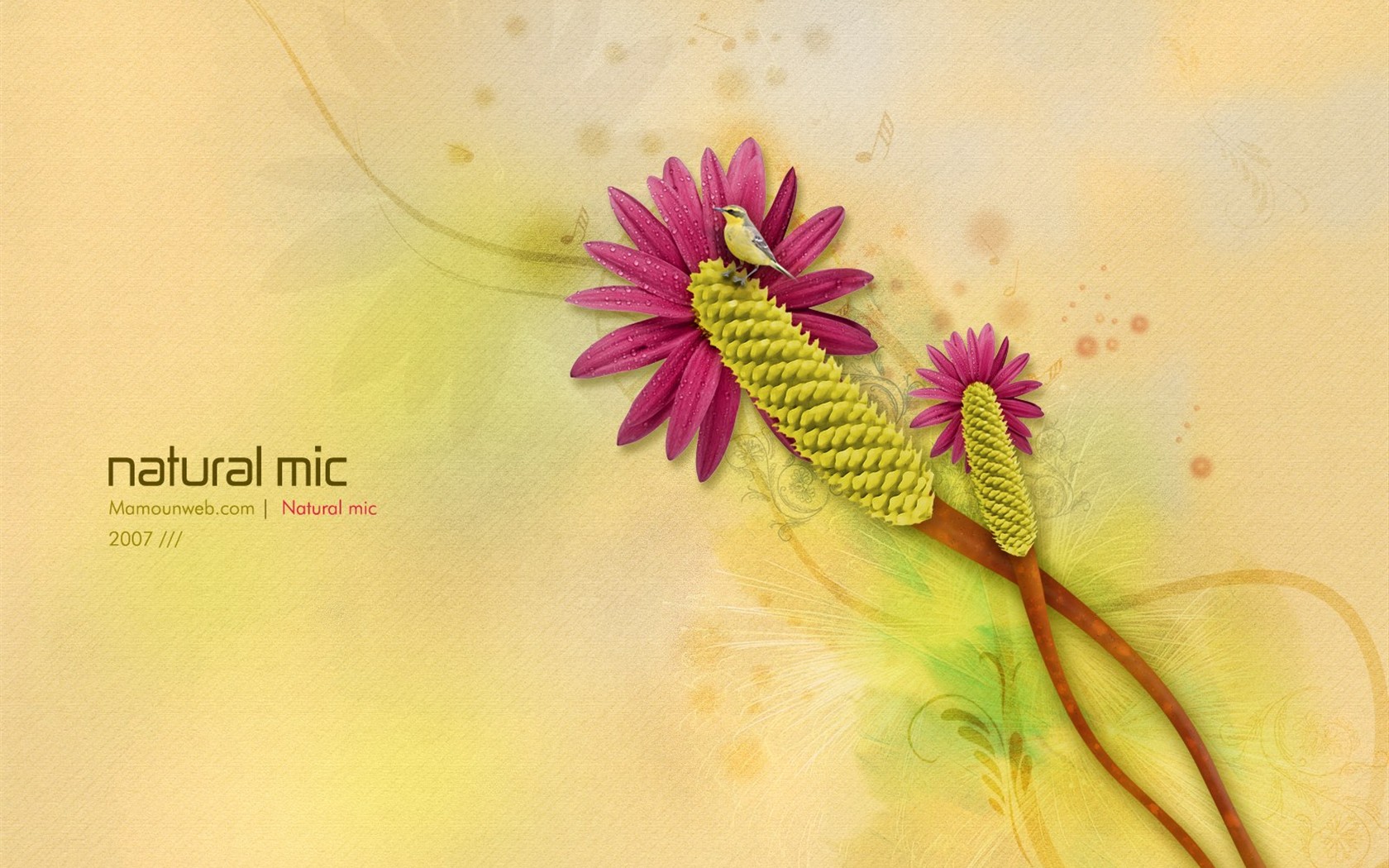 Exquisite design Vladstudio Wallpaper #4 - 1680x1050