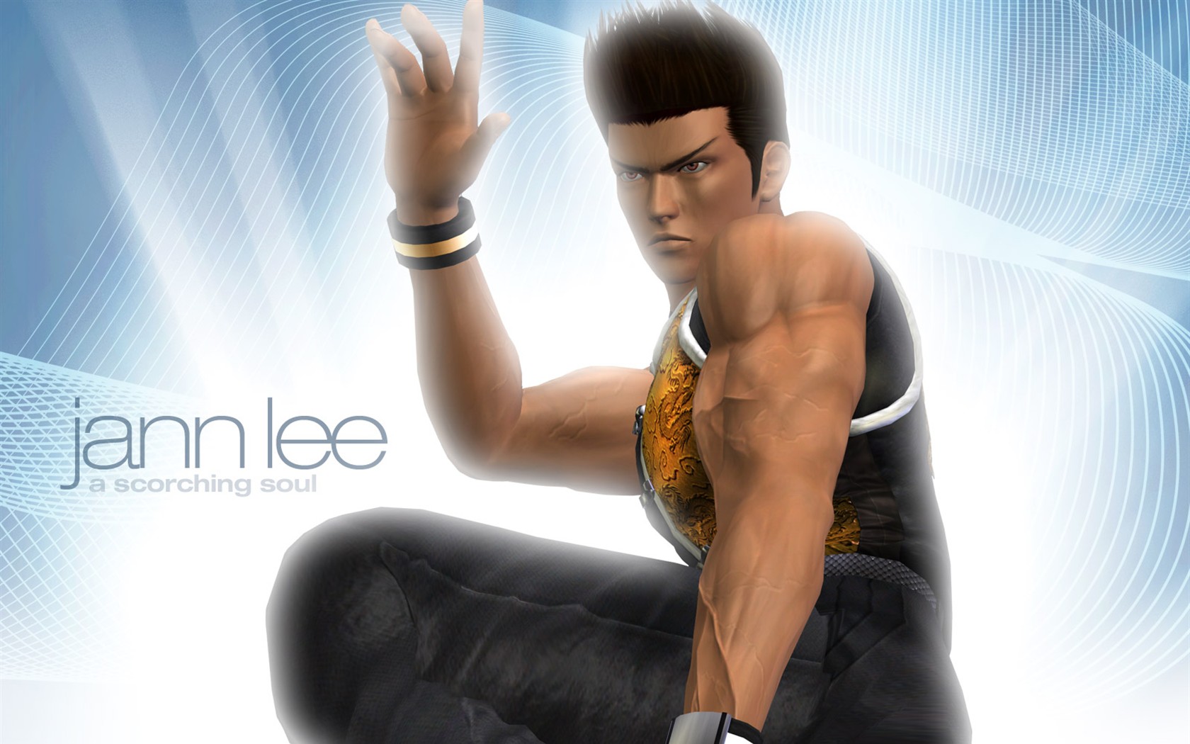Dead or Alive 4 wallpaper alba #7 - 1680x1050