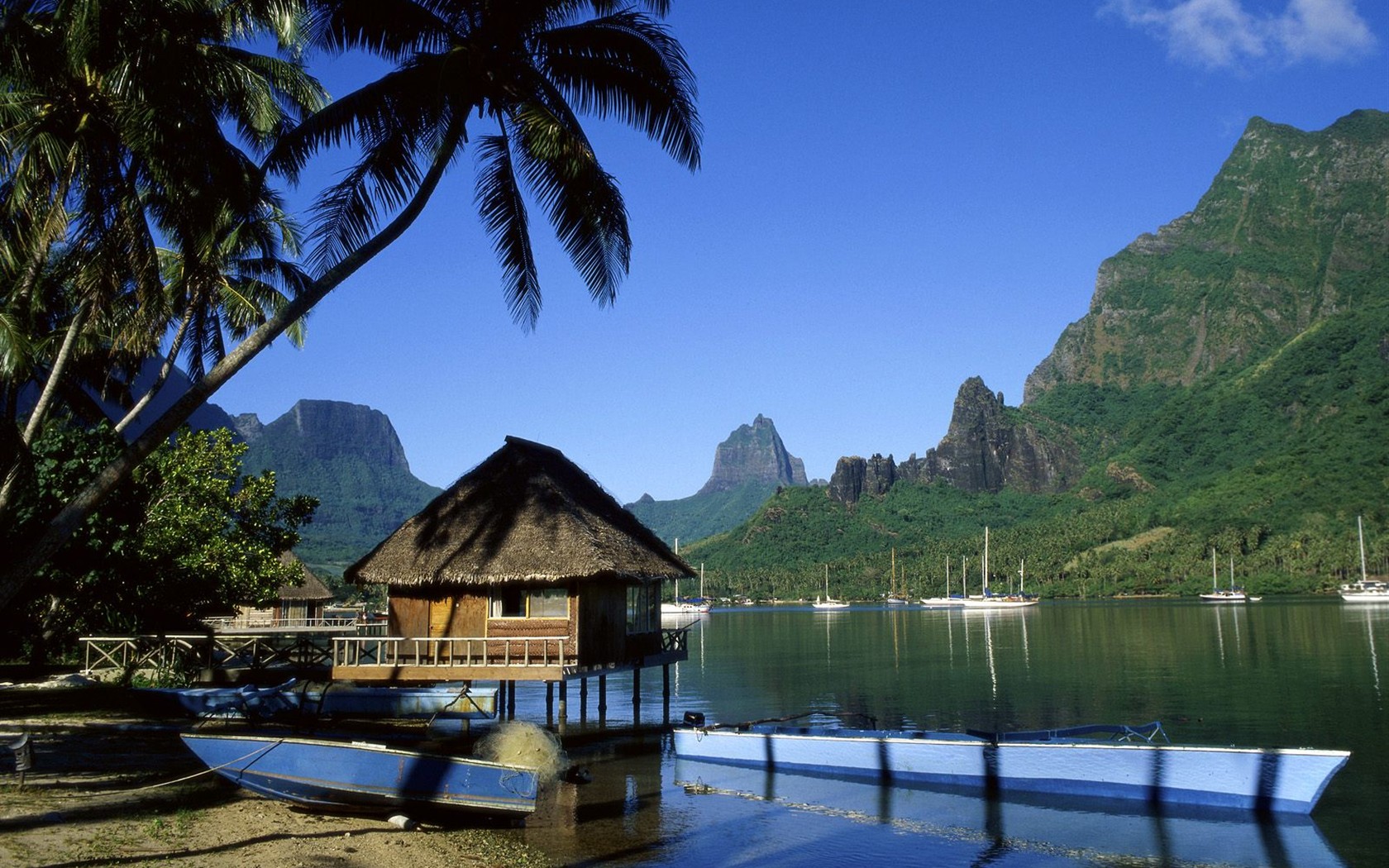 Webshots natural scenery Wallpaper #8 - 1680x1050