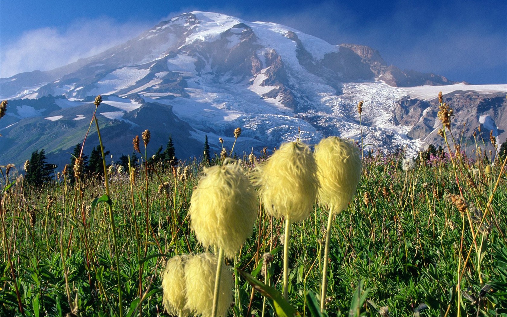 Webshots natural scenery Wallpaper #38 - 1680x1050
