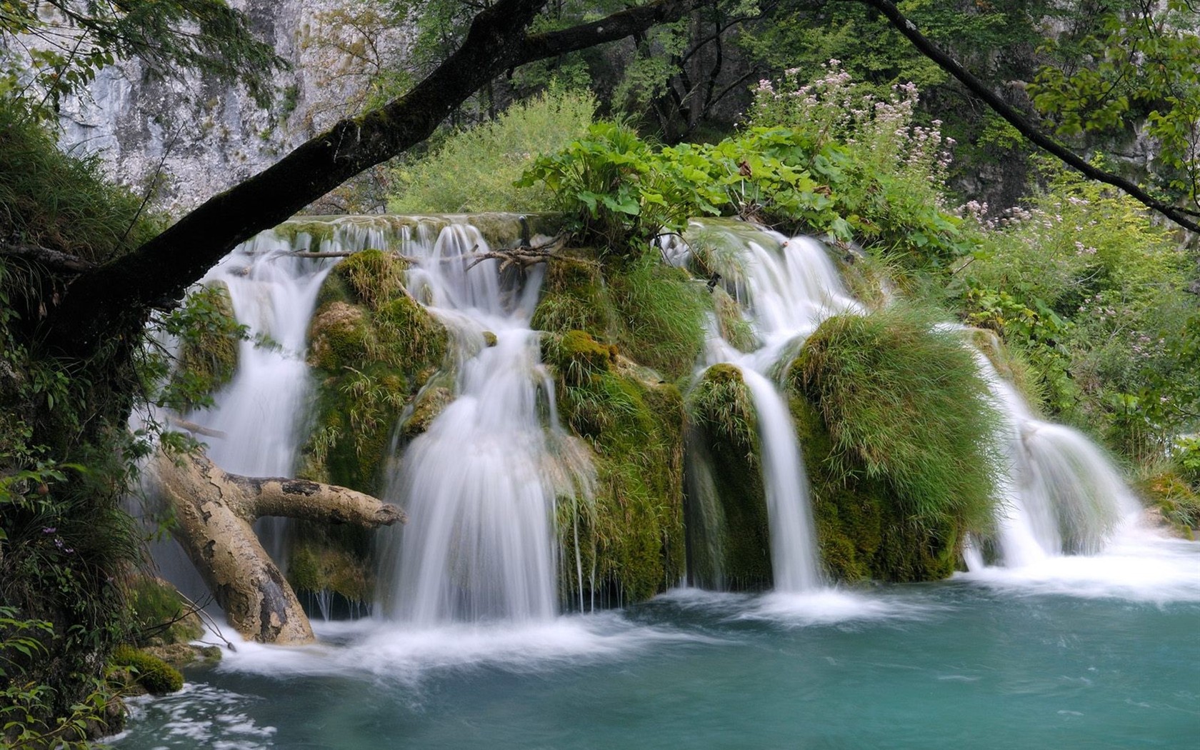 Falls Lesní HD Wallpaper #17 - 1680x1050