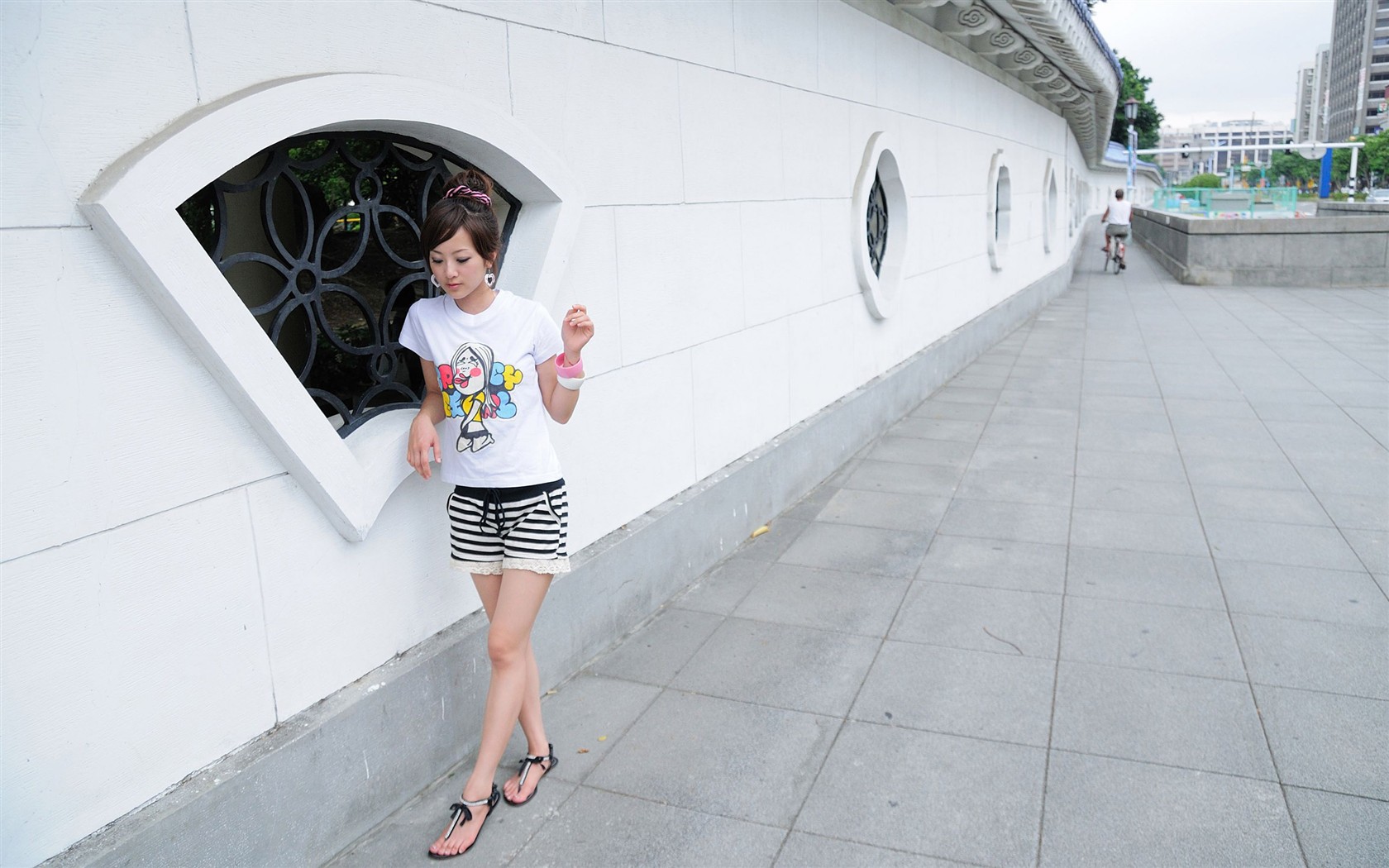 Taiwan fruit wallpaper album MM #10 - 1680x1050