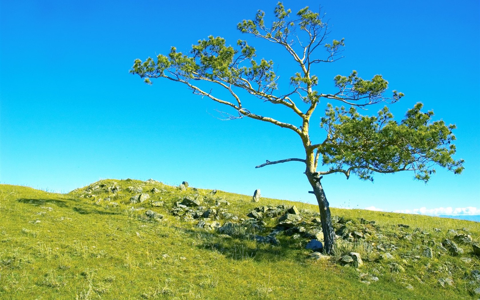 Un beau paysage naturel en Sibérie #5 - 1680x1050