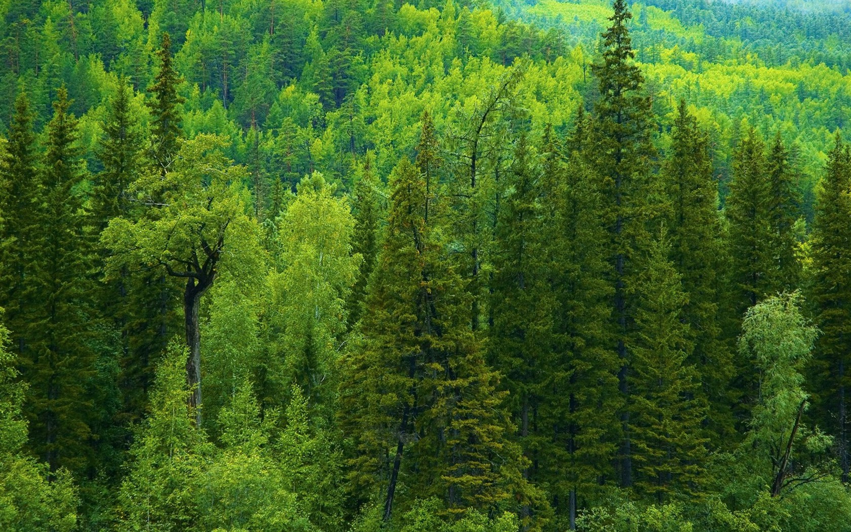 Un beau paysage naturel en Sibérie #15 - 1680x1050