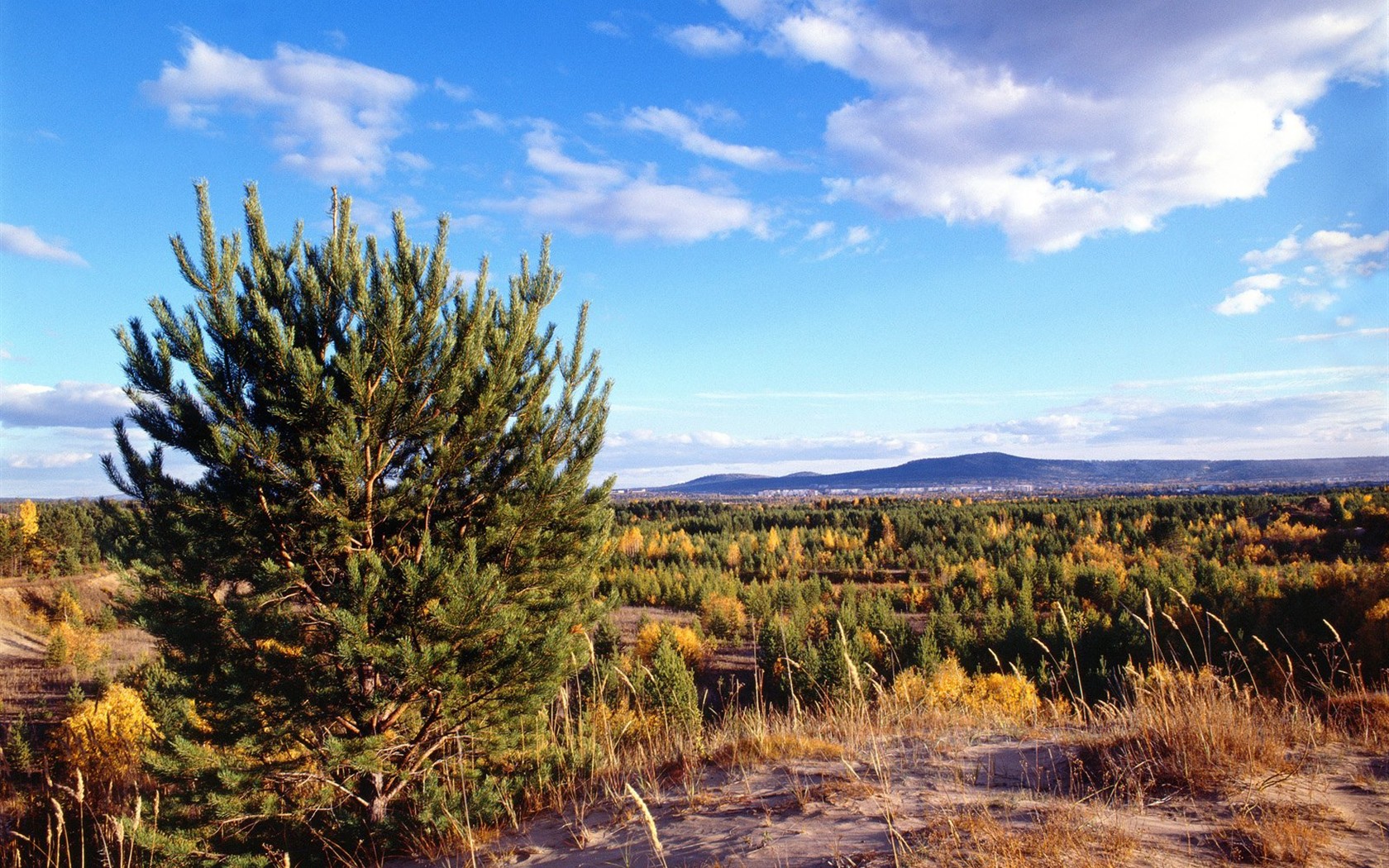 Un beau paysage naturel en Sibérie #17 - 1680x1050