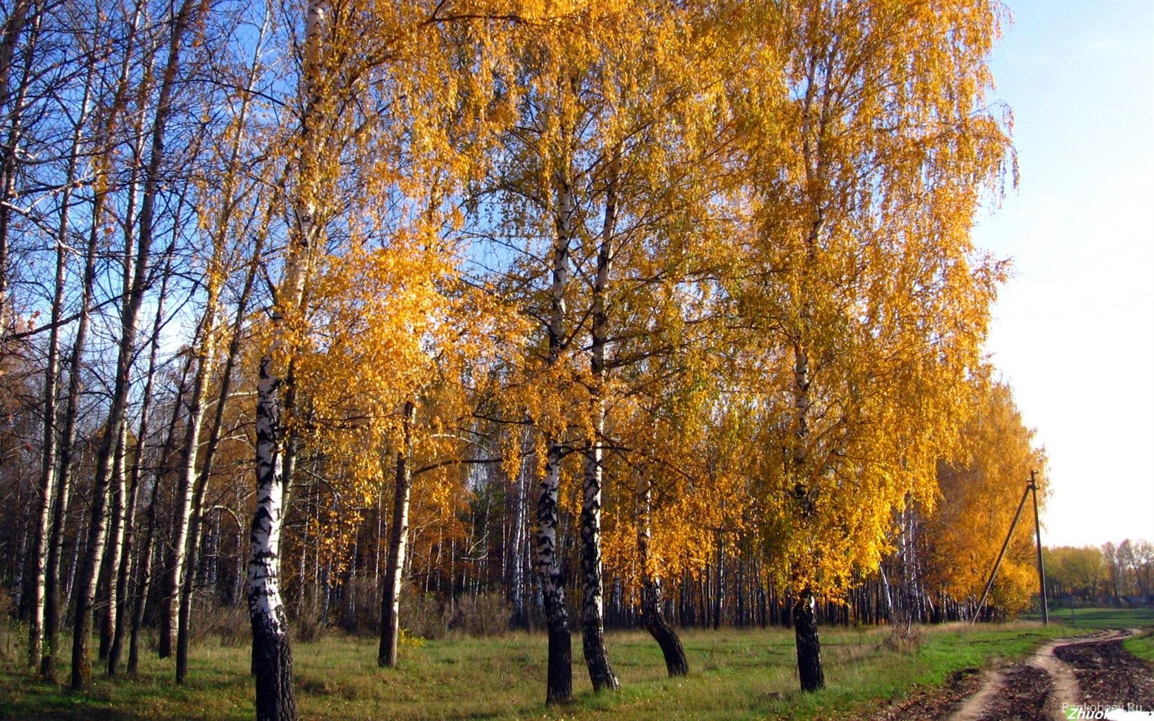 Krásné přírodní scenérie na Sibiři #21 - 1680x1050