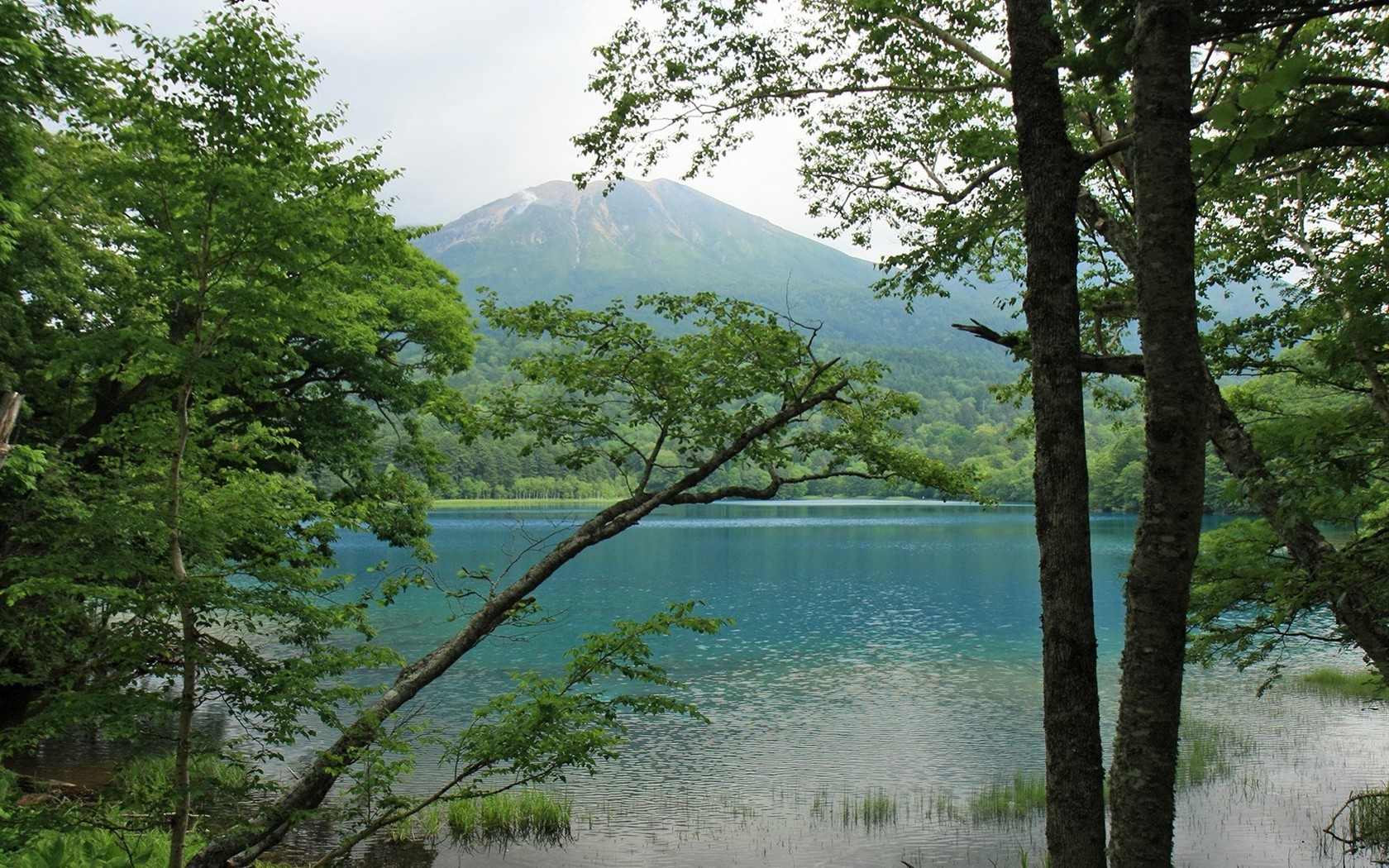 夏日北海道郊外風景 #9 - 1680x1050