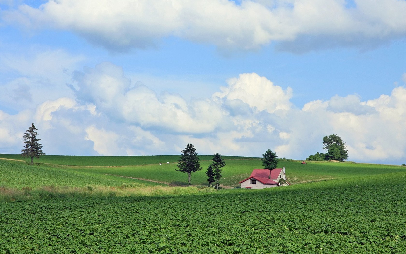 Hokkaido countryside scenery #10 - 1680x1050