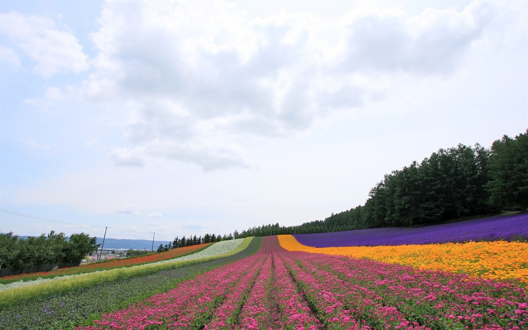 夏日北海道郊外風景 #19 - 1680x1050