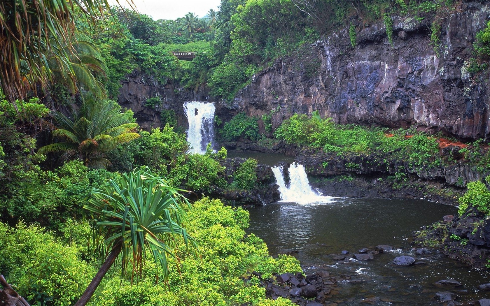 ハワイアンビーチの風景 #15 - 1680x1050