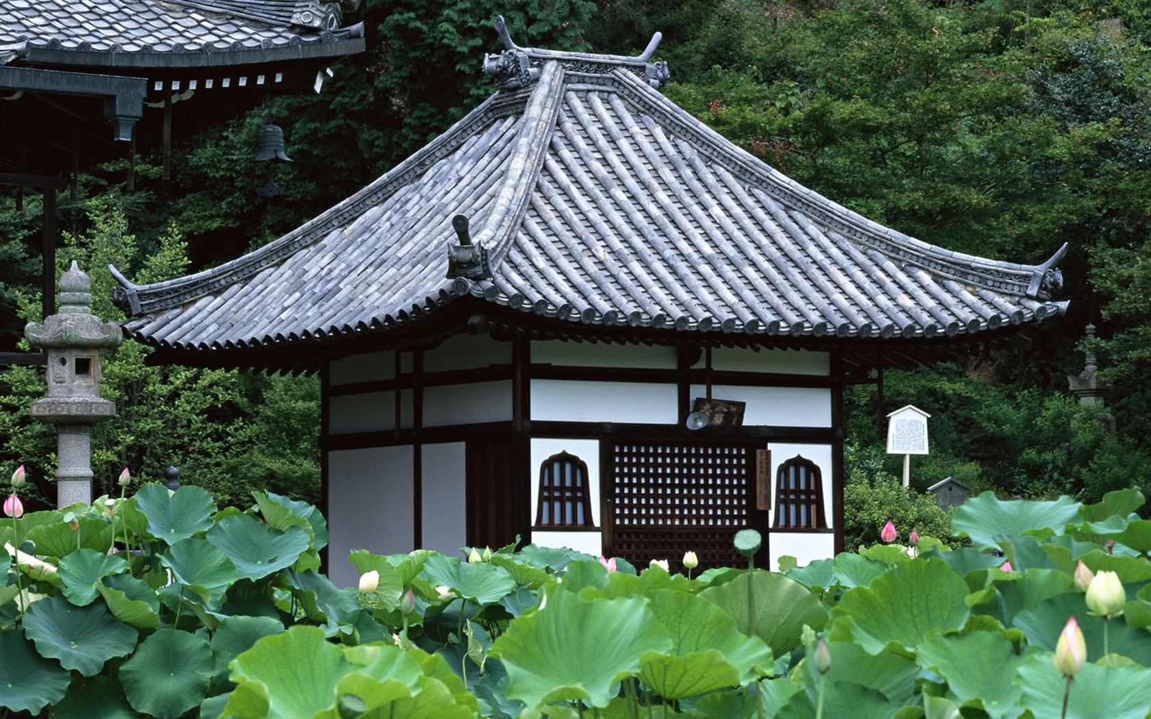 Kyoto, Japonsko, Krajina Tapety #1 - 1680x1050